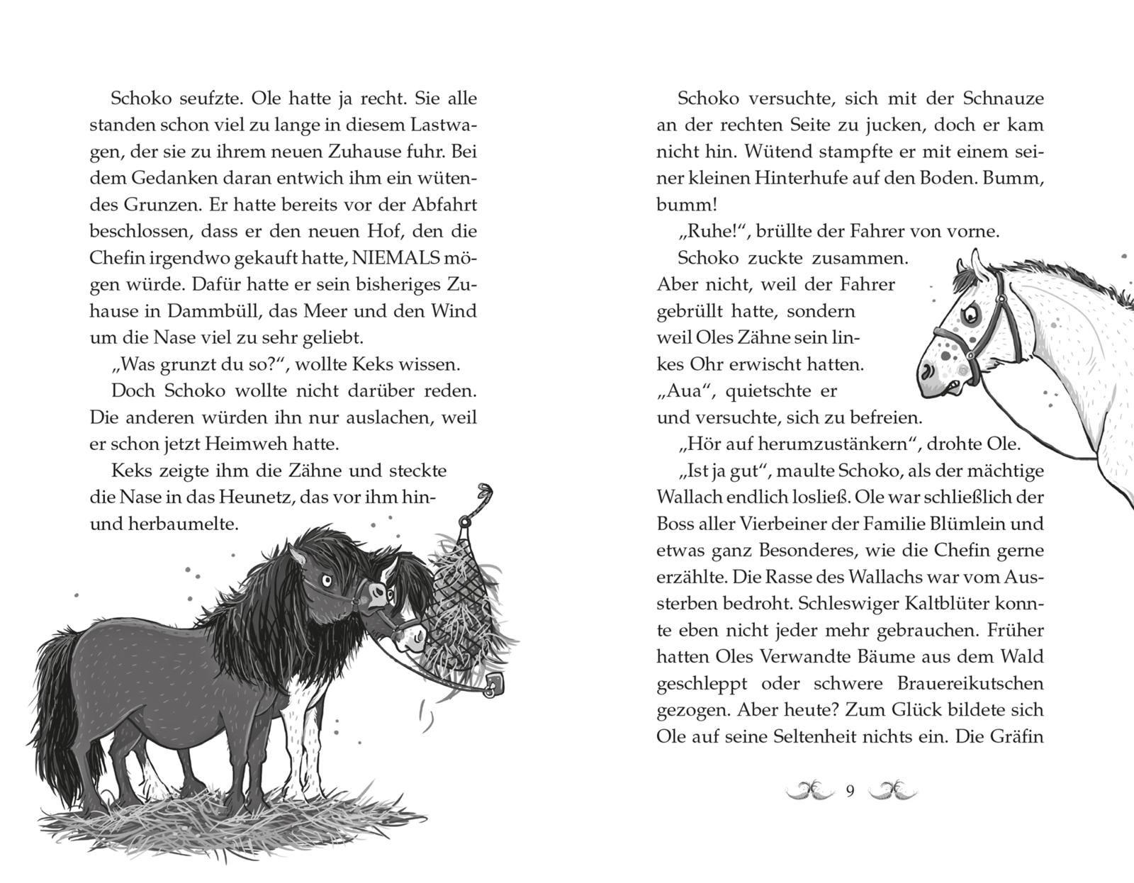 Beispielinhalt (Bild) Die Haferhorde 1: Flausen im Schopf