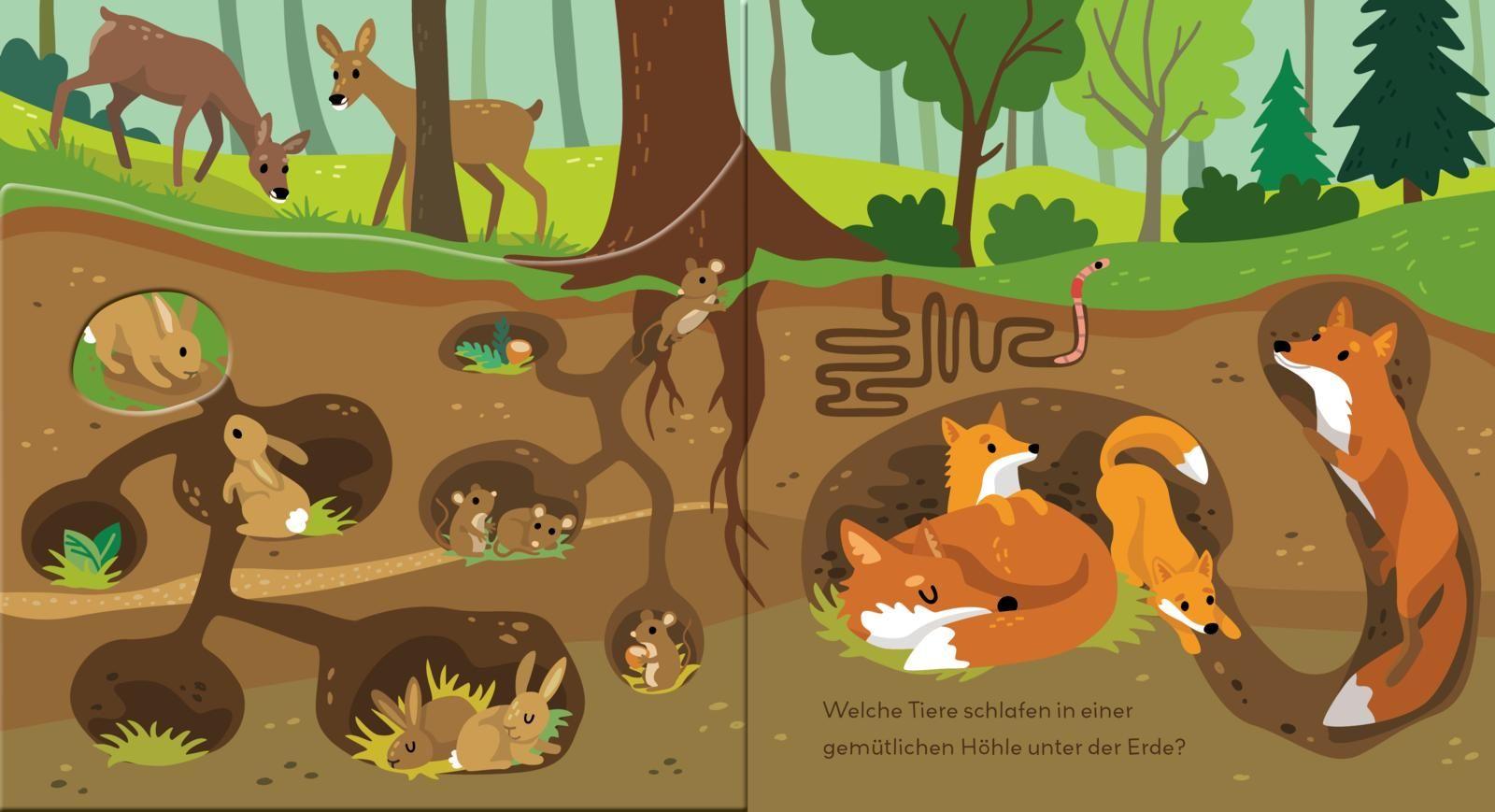 Beispielinhalt (Bild) Baby Pixi (unkaputtbar) 178: Flippediflapp: Tiere im Wald