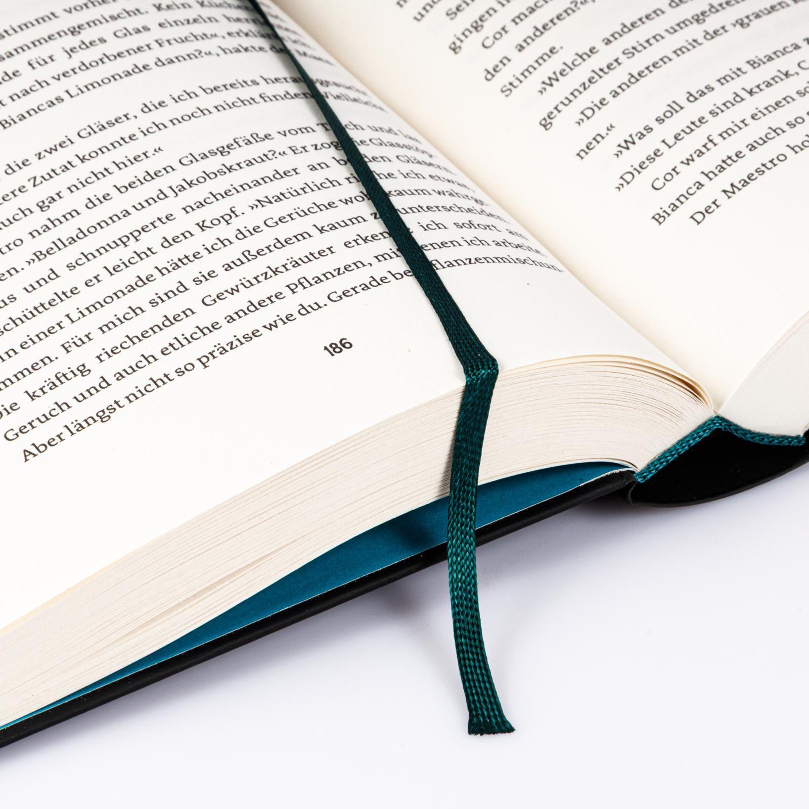 Beispielinhalt (Bild) Stadt der Sänger und Verschwörer (Stadt der Magier 2)