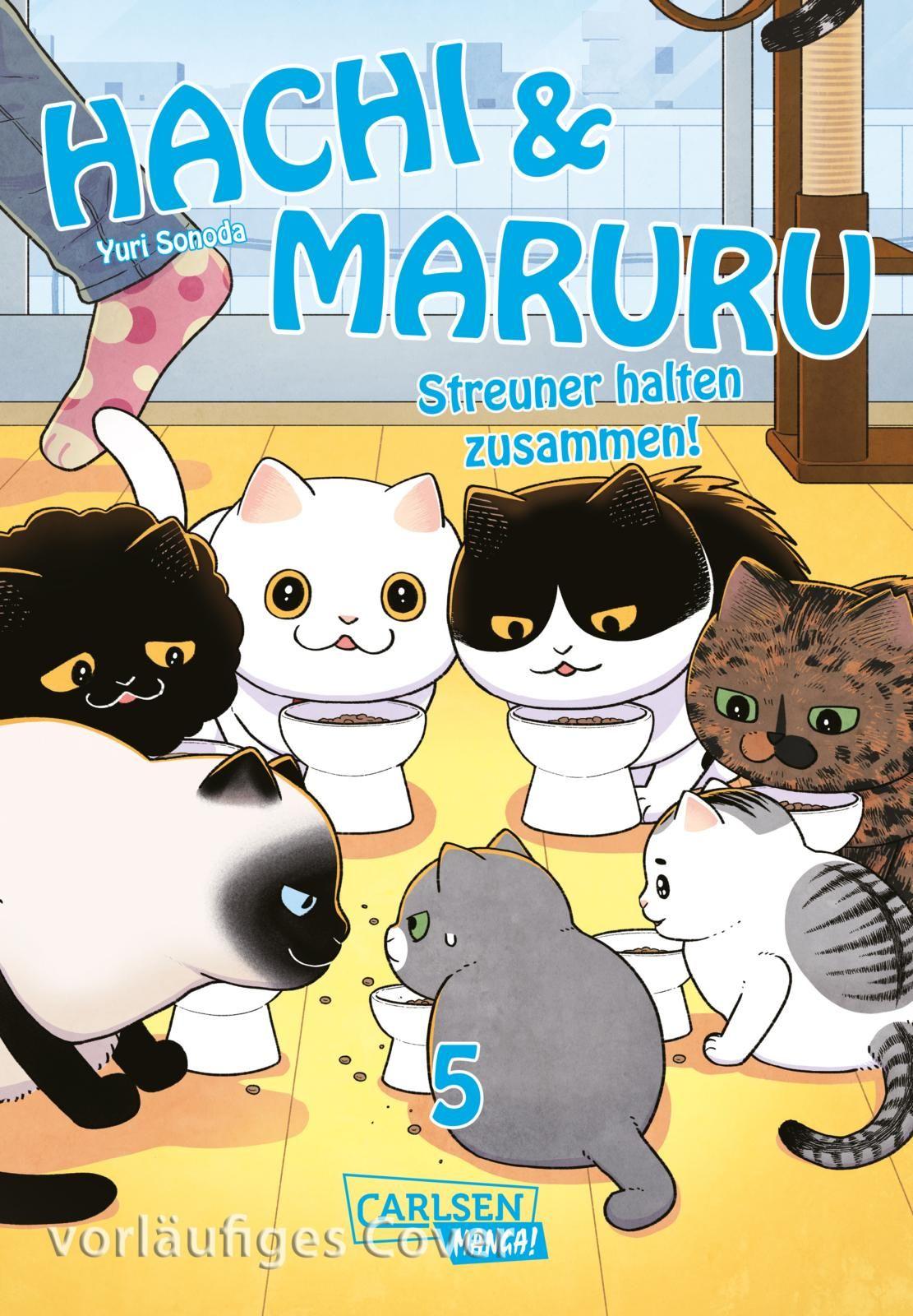 Vorderes Coverbild Hachi & Maruru - Streuner halten zusammen! 5