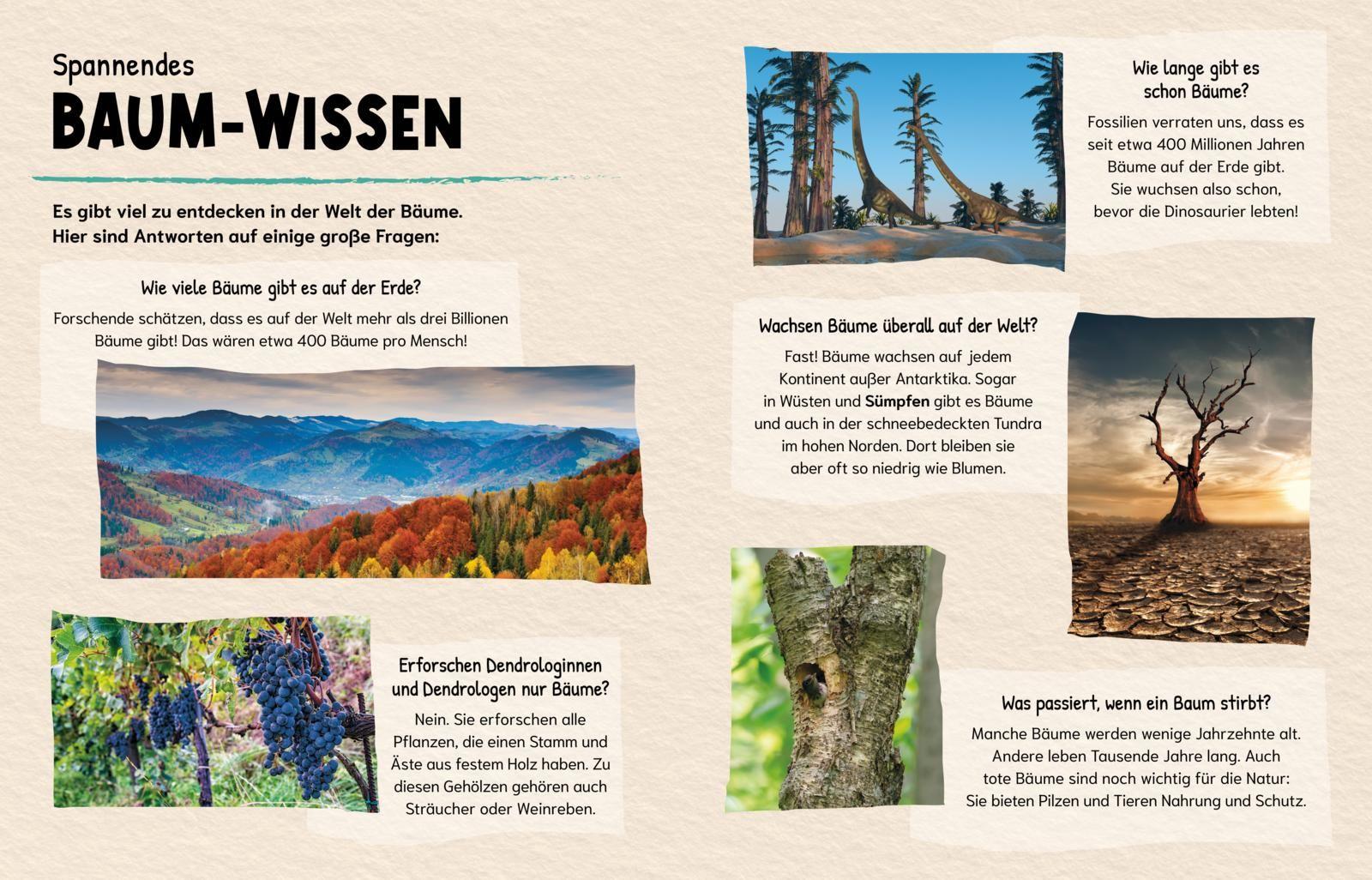 Beispielinhalt (Bild) Können Bäume miteinander sprechen? (Gute Frage!)