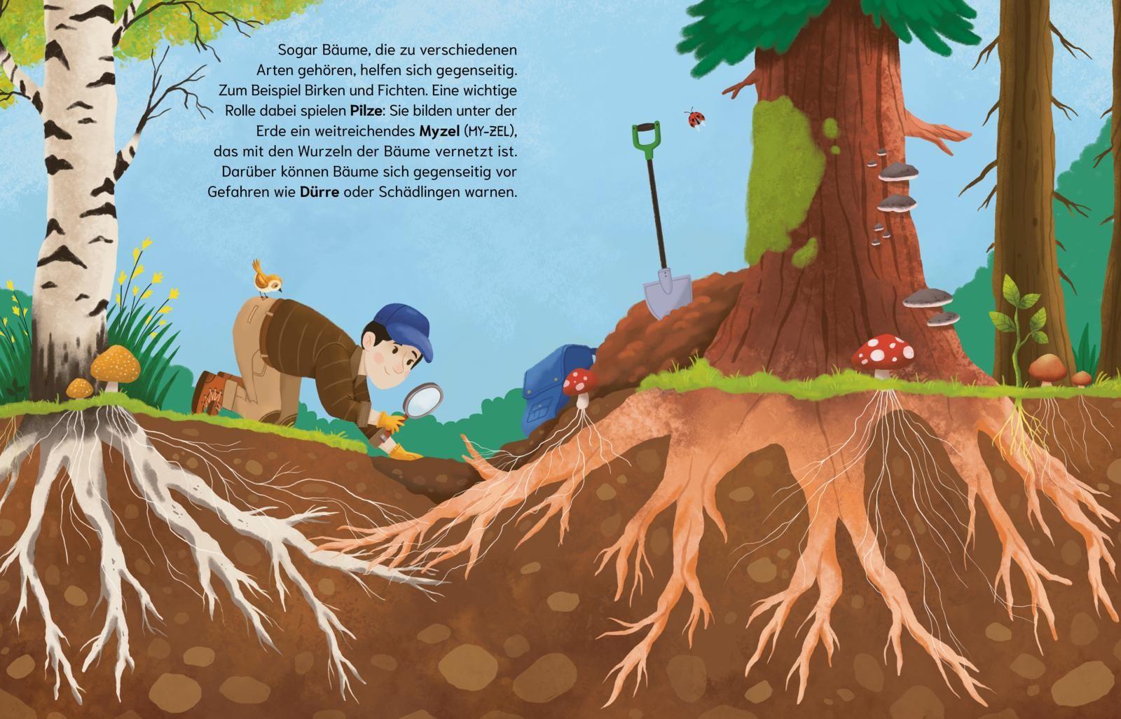 Beispielinhalt (Bild) Können Bäume miteinander sprechen? (Gute Frage!)