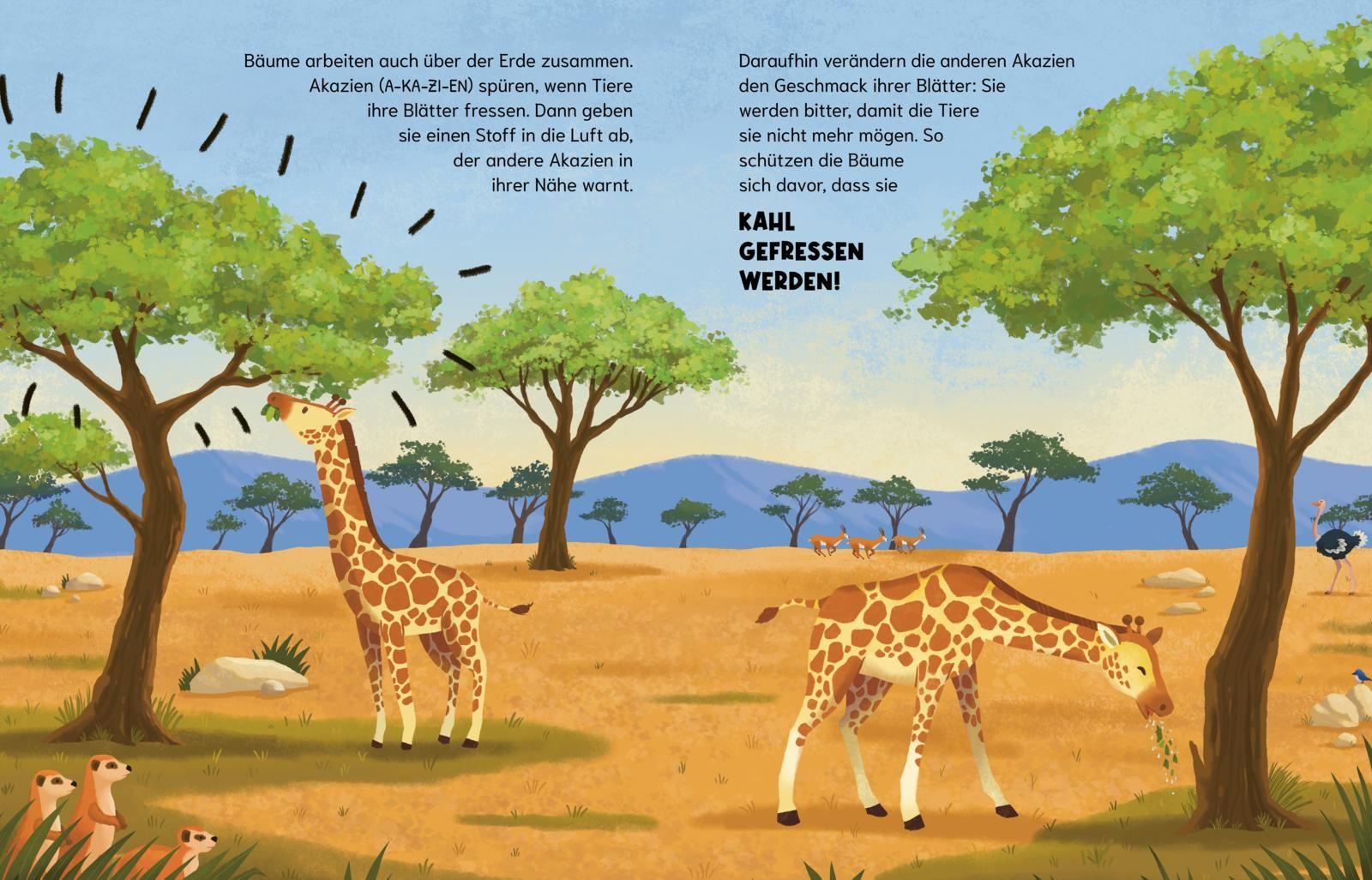 Beispielinhalt (Bild) Können Bäume miteinander sprechen? (Gute Frage!)