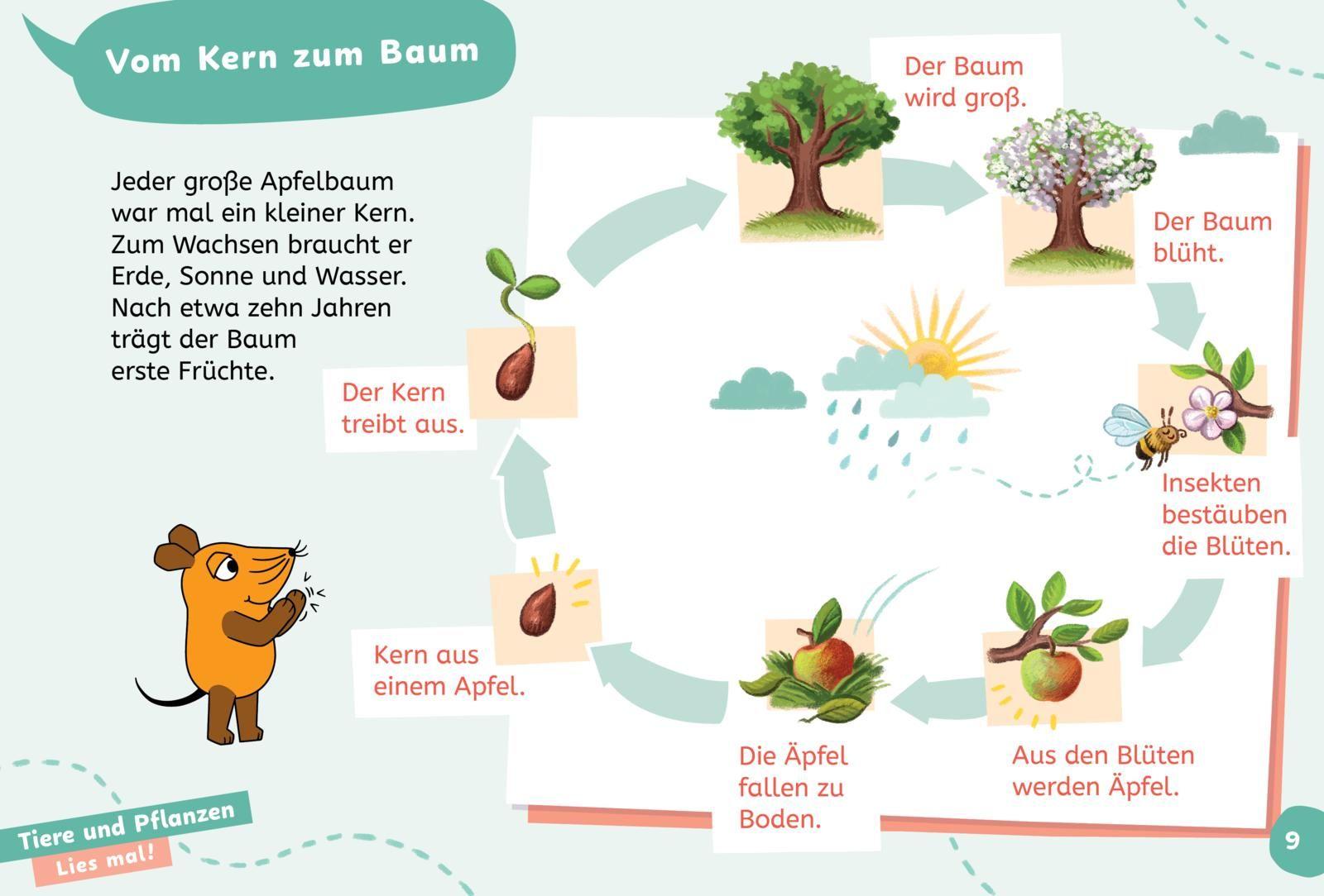 Beispielinhalt (Bild) Frag doch mal ... die Maus: Wissen zum Schulstart: Natur und Umwelt