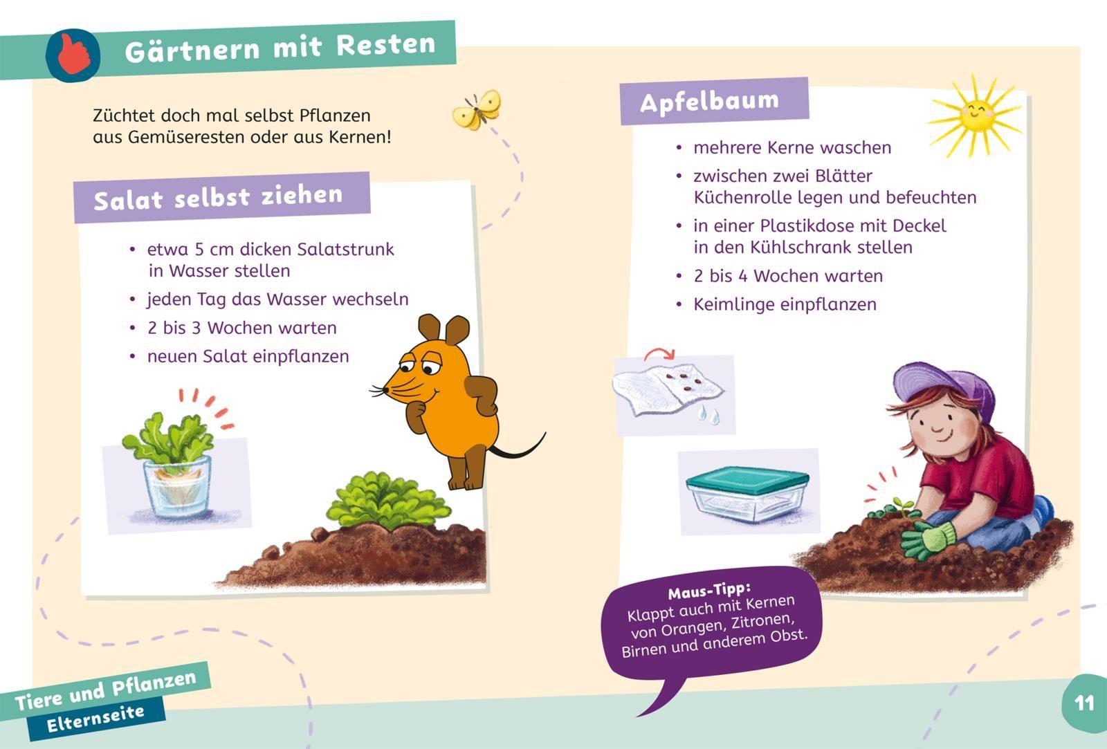 Beispielinhalt (Bild) Frag doch mal ... die Maus: Wissen zum Schulstart: Natur und Umwelt