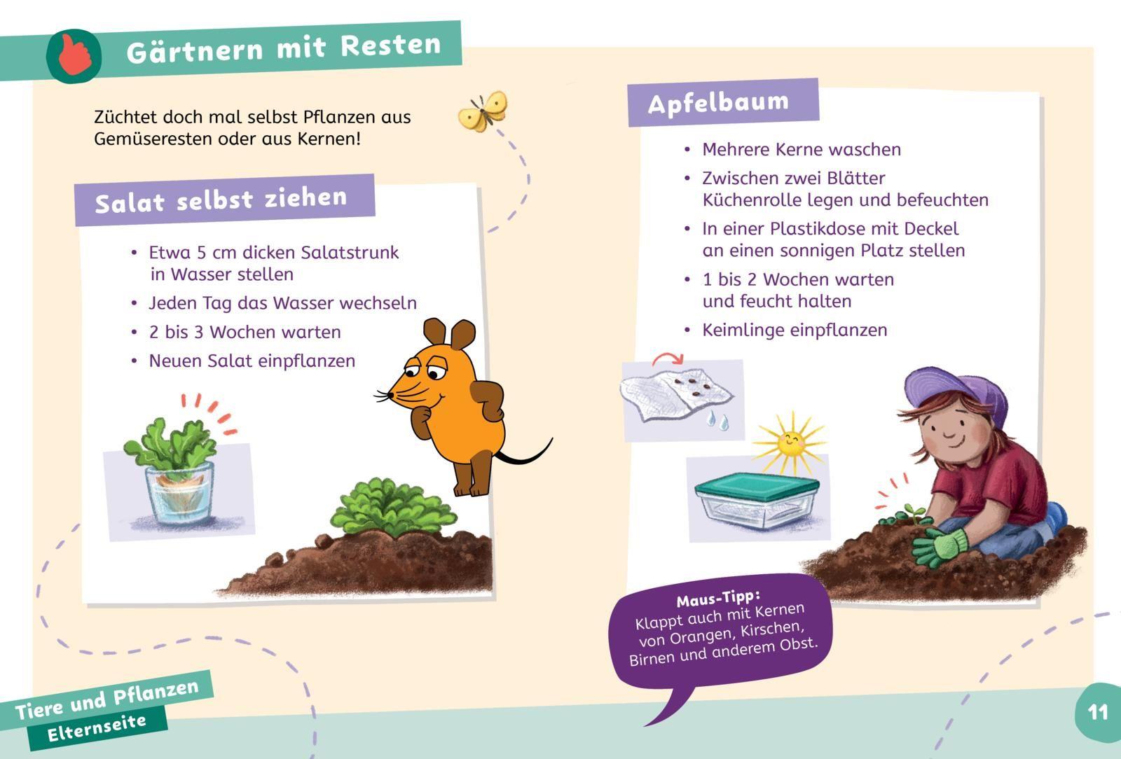 Beispielinhalt (Bild) Frag doch mal ... die Maus: Wissen zum Schulstart: Natur und Umwelt