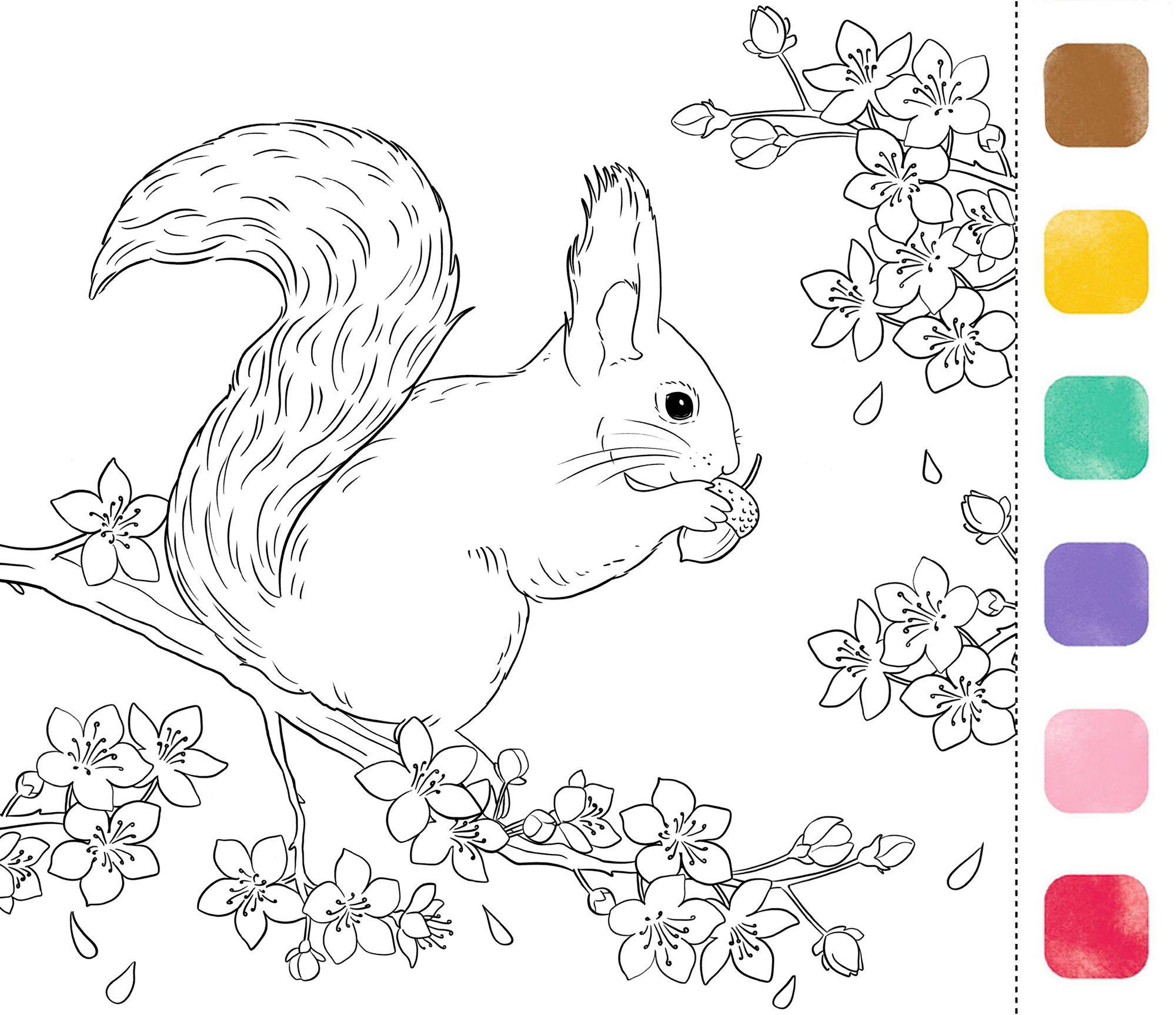 Beispielinhalt (Bild) Aquarell-Glück