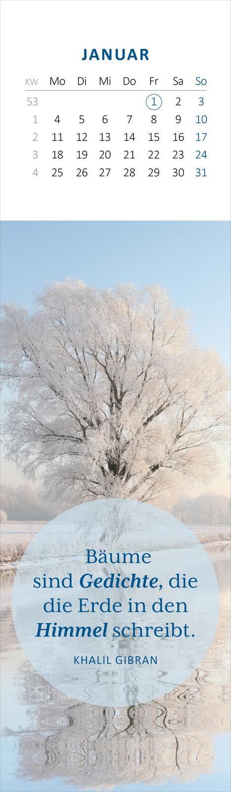 Beispielinhalt (Bild) Lesezeichenkalender Weisheiten der Bäume 2027