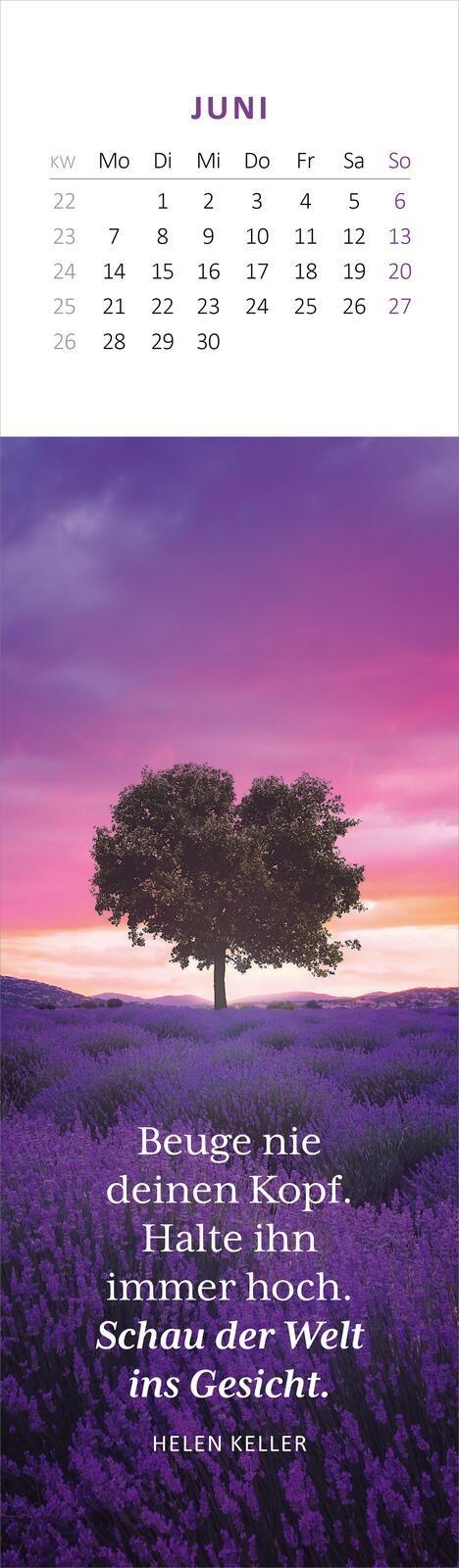 Beispielinhalt (Bild) Lesezeichenkalender Weisheiten der Bäume 2027