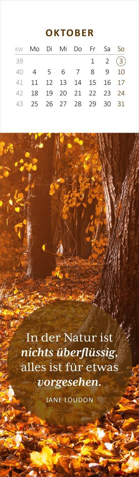 Beispielinhalt (Bild) Lesezeichenkalender Weisheiten der Bäume 2027