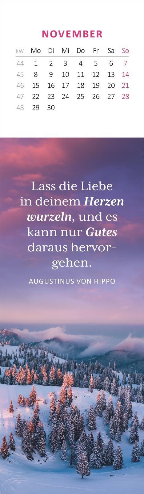 Beispielinhalt (Bild) Lesezeichenkalender Weisheiten der Bäume 2027