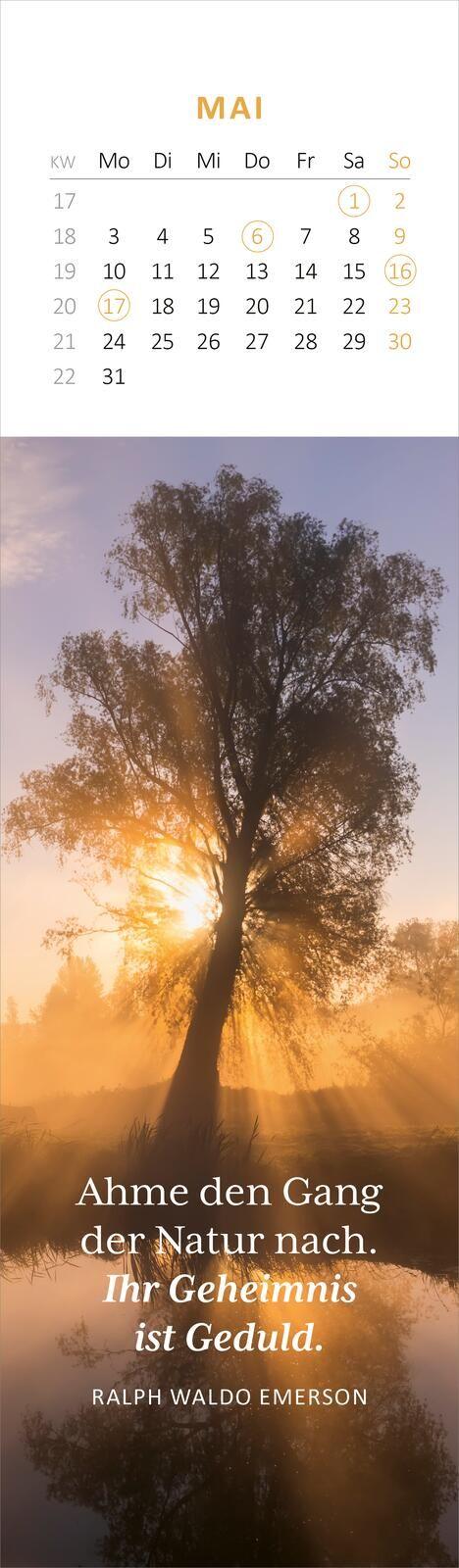 Beispielinhalt (Bild) Lesezeichenkalender Weisheiten der Bäume 2027