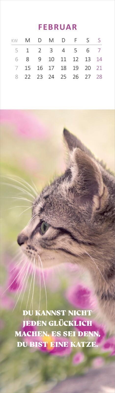 Beispielinhalt (Bild) Lesezeichenkalender Katzenglück 2027