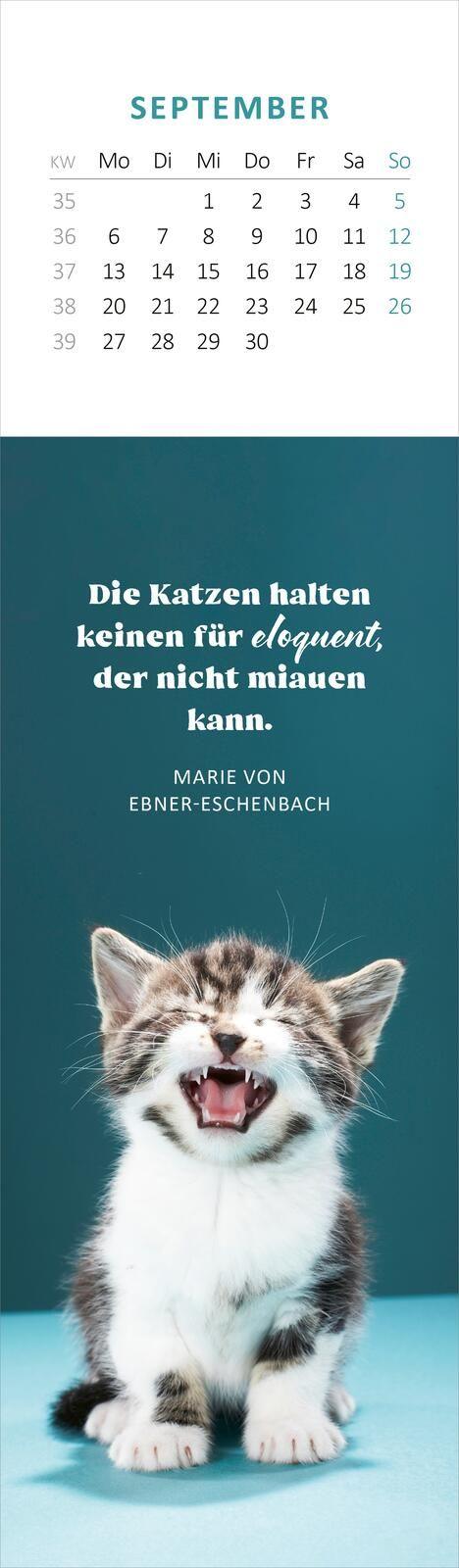 Beispielinhalt (Bild) Lesezeichenkalender Katzenglück 2027