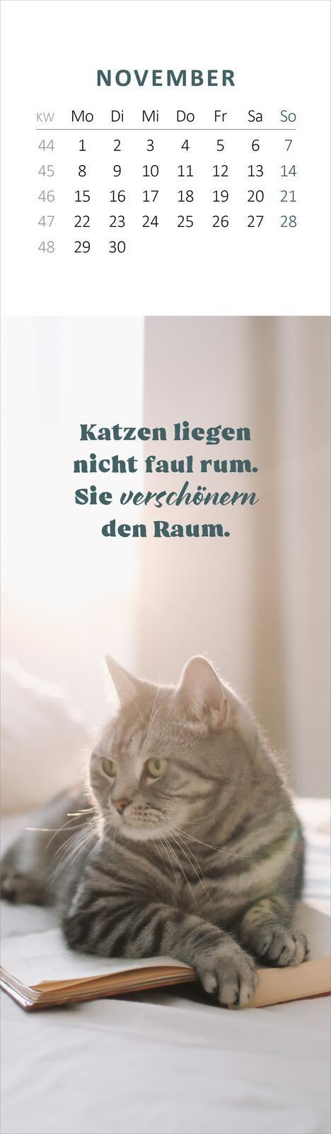 Beispielinhalt (Bild) Lesezeichenkalender Katzenglück 2027