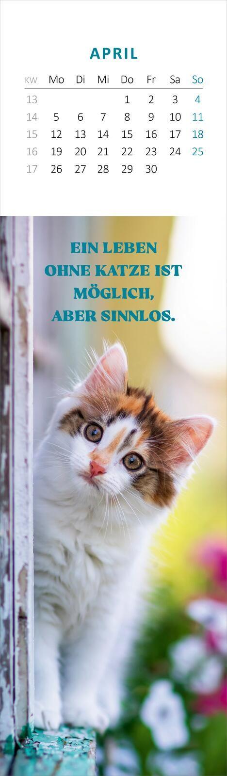Beispielinhalt (Bild) Lesezeichenkalender Katzenglück 2027