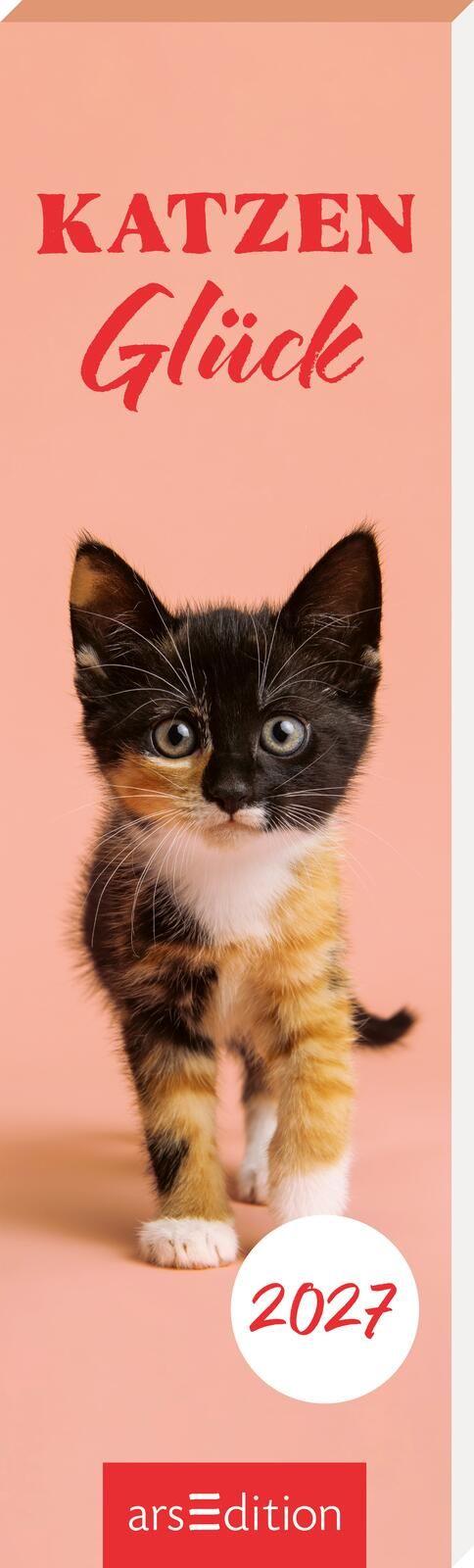 Vorderes Coverbild Lesezeichenkalender Katzenglück 2027