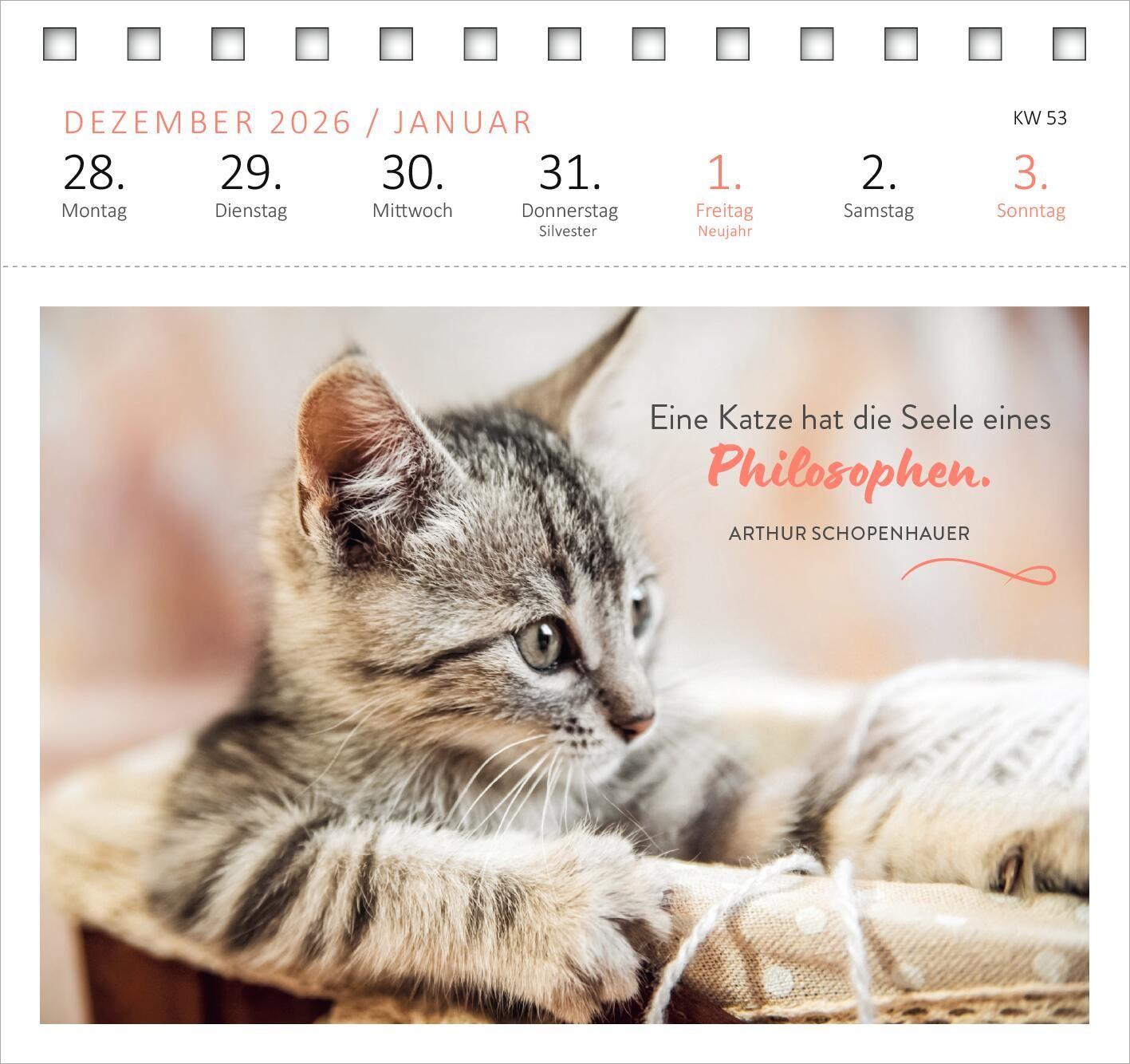 Beispielinhalt (Bild) Postkartenkalender Katzenweisheiten 2027