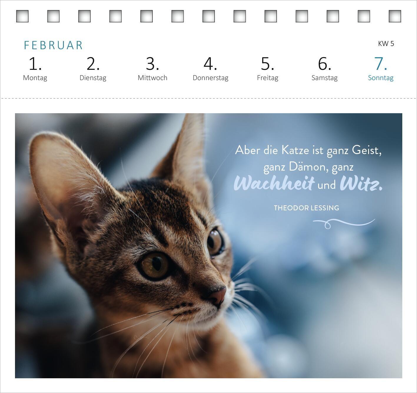 Beispielinhalt (Bild) Postkartenkalender Katzenweisheiten 2027