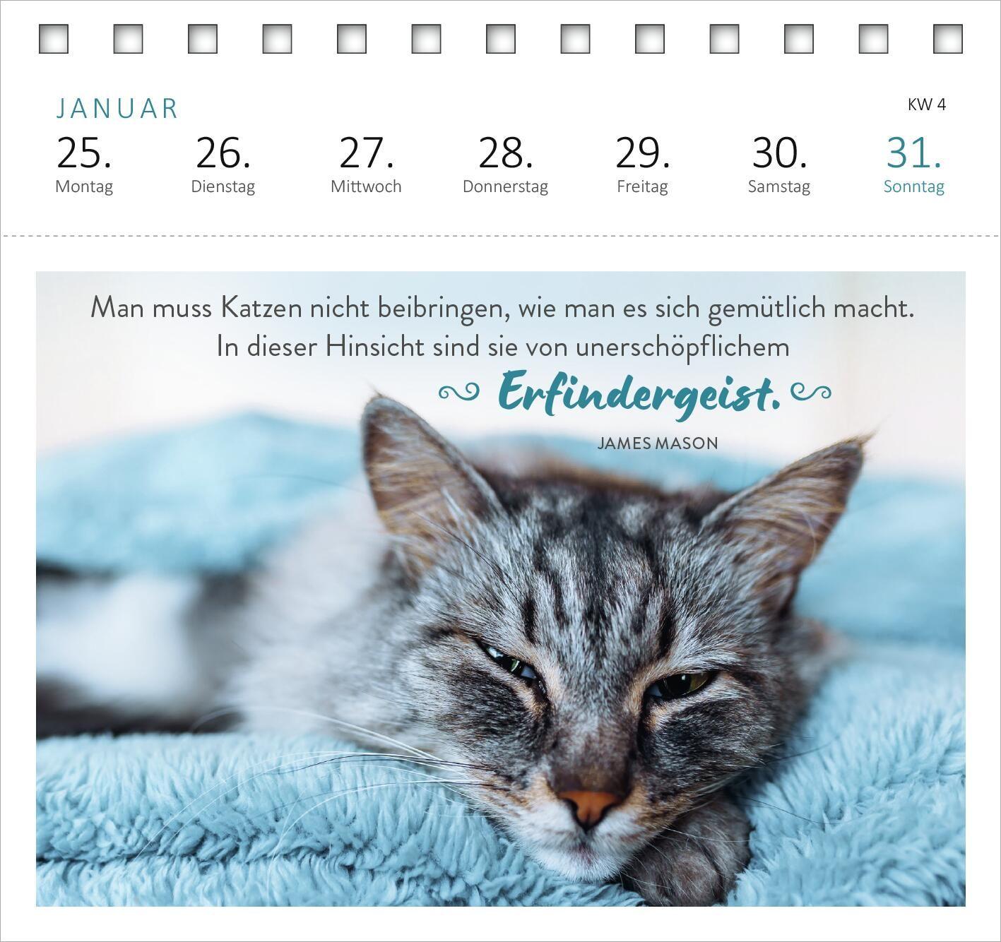 Beispielinhalt (Bild) Postkartenkalender Katzenweisheiten 2027