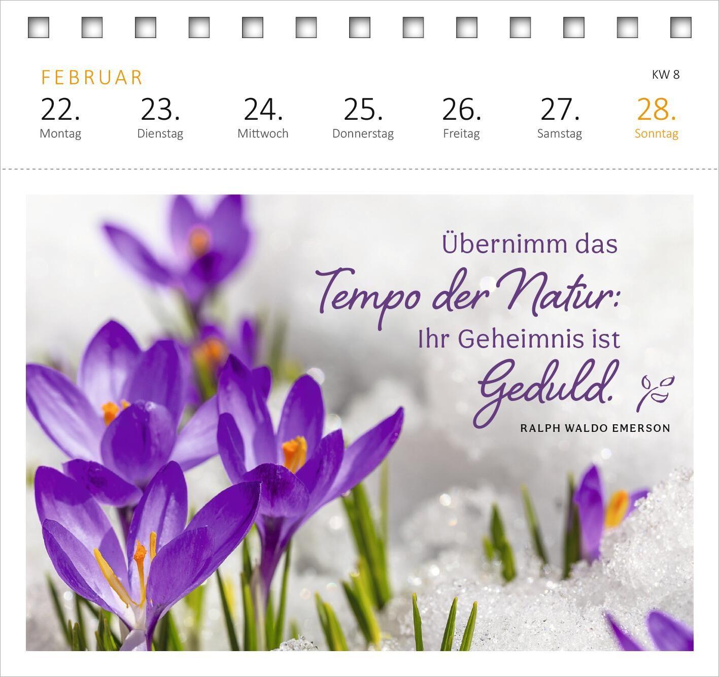 Beispielinhalt (Bild) Postkartenkalender Gartenglück 2027