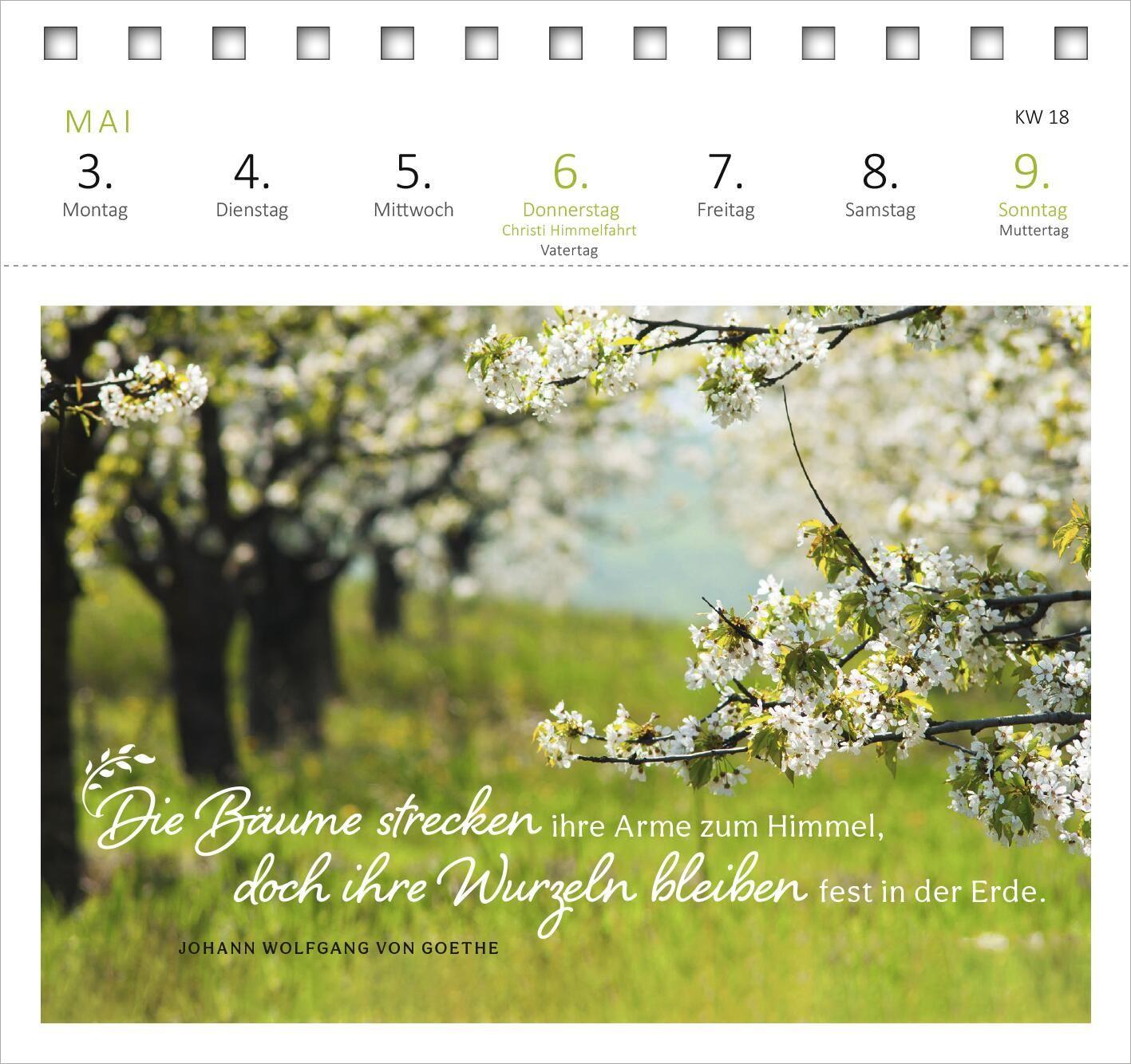 Beispielinhalt (Bild) Postkartenkalender Gartenglück 2027