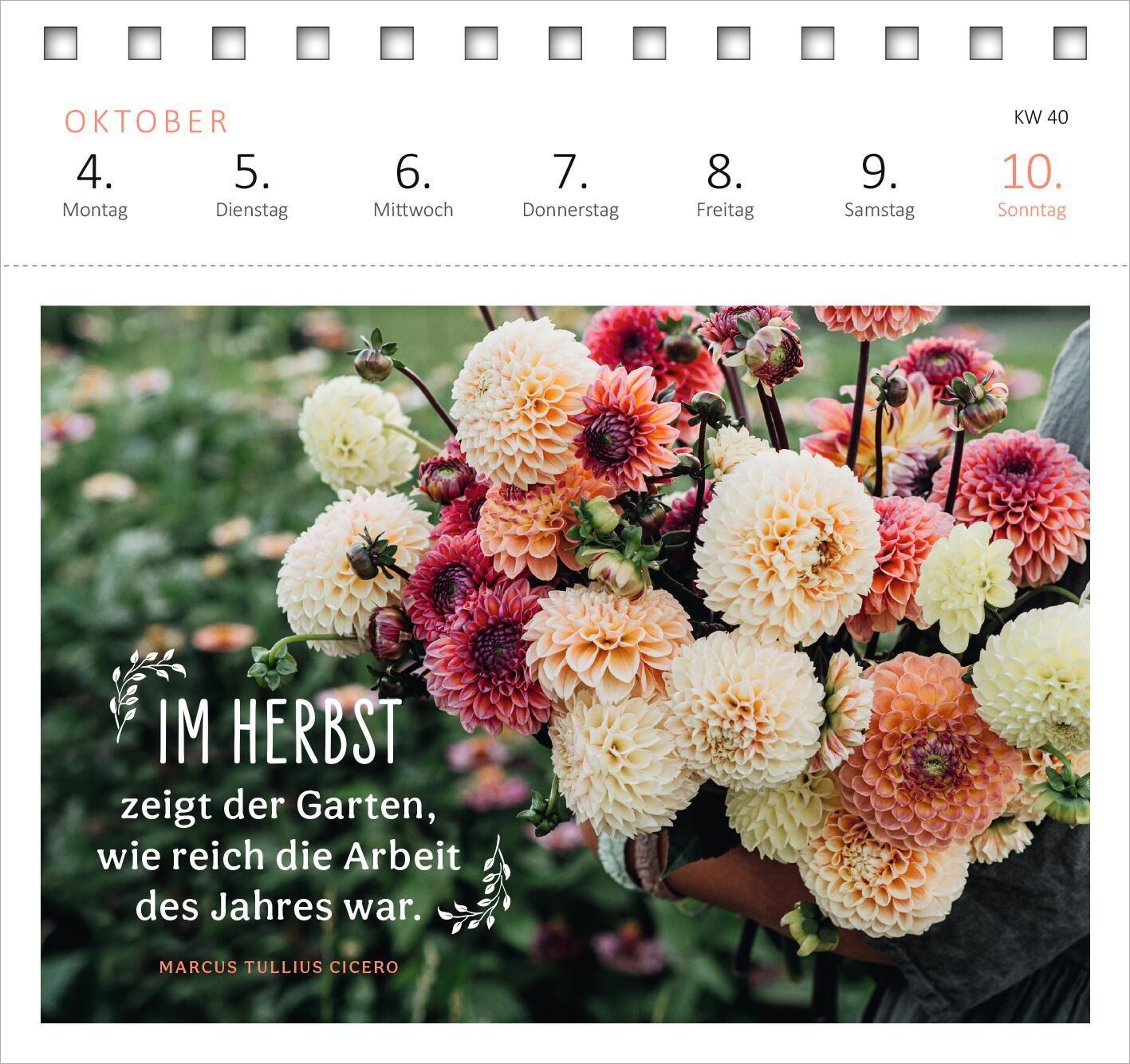 Beispielinhalt (Bild) Postkartenkalender Gartenglück 2027