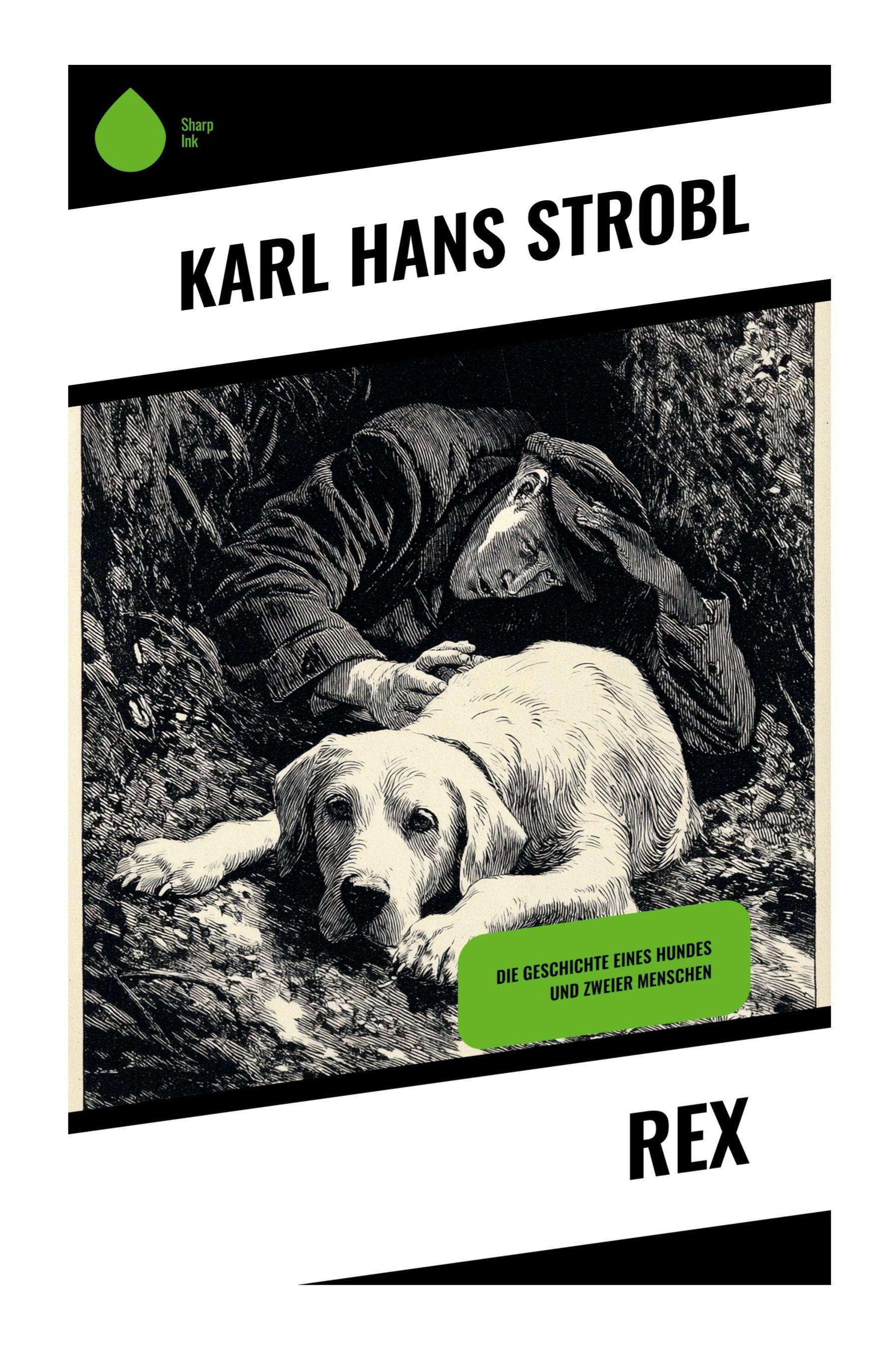 Vorderes Coverbild Rex