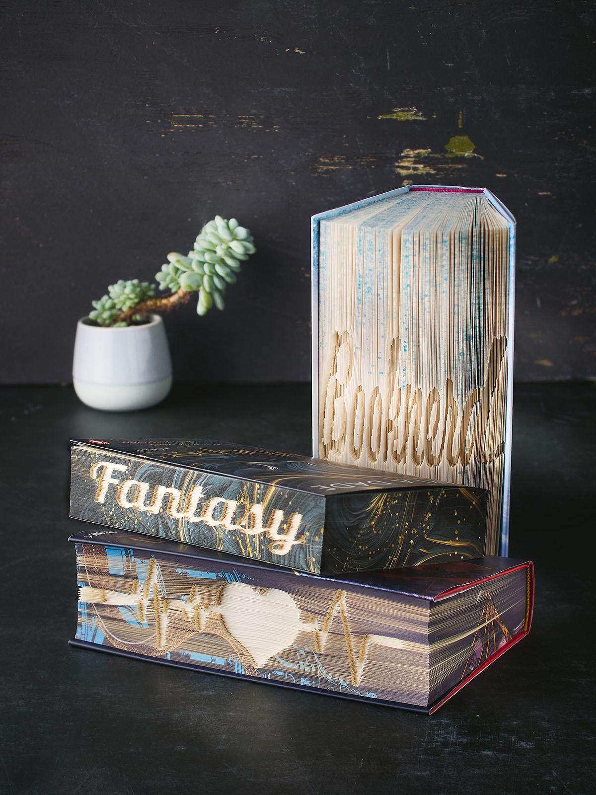 Beispielinhalt (Bild) Orimoto. Faltkunst für Booklover