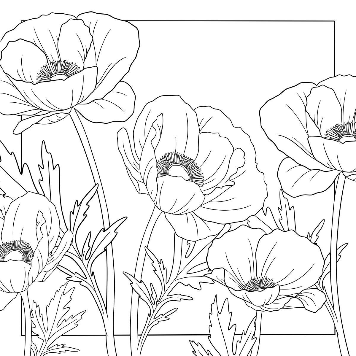 Beispielinhalt (Bild) Colorful World - Blütentanz