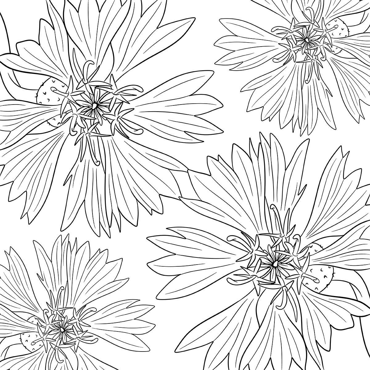 Beispielinhalt (Bild) Colorful World - Blütentanz