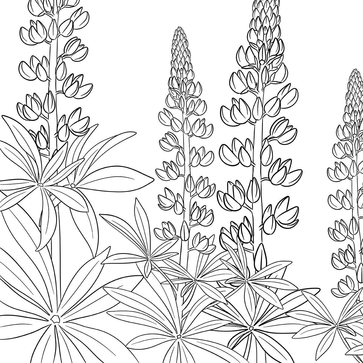 Beispielinhalt (Bild) Colorful World - Blütentanz