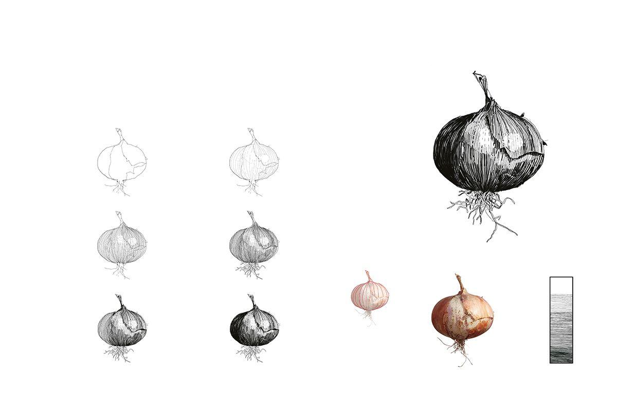 Beispielinhalt (Bild) Zeichnen mit Pen & Ink