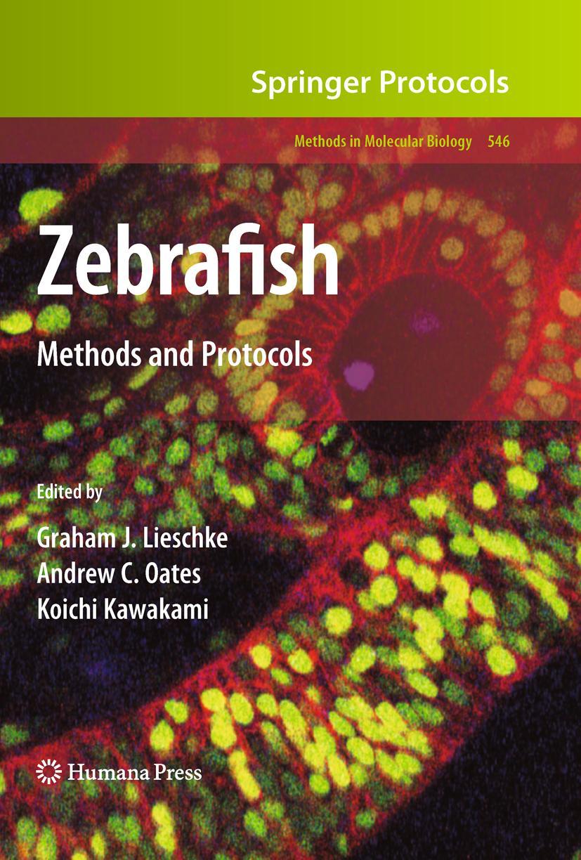 Vorderes Coverbild Zebrafish