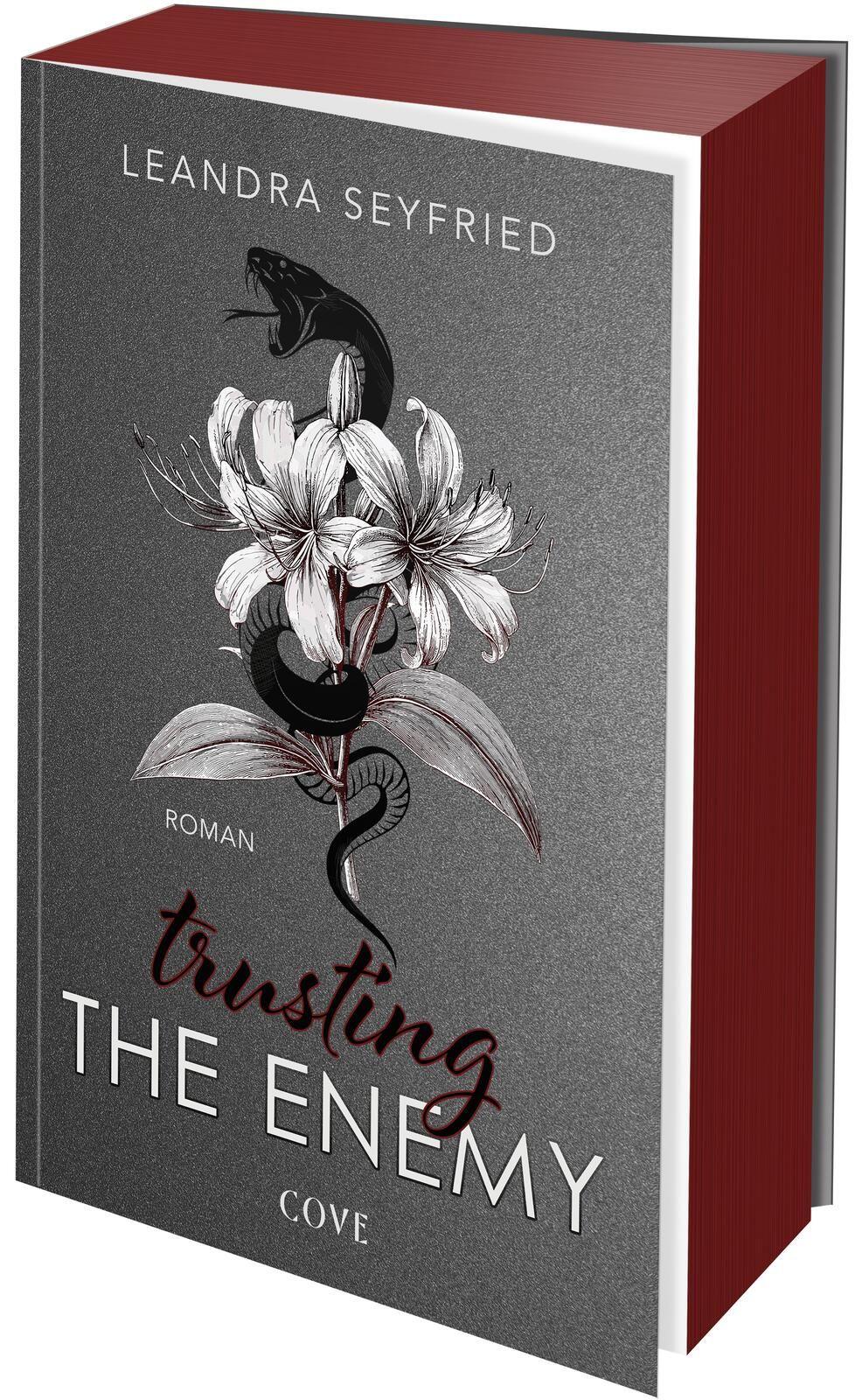 Vorderes Coverbild Trusting The Enemy (Sons of Chicago 2)