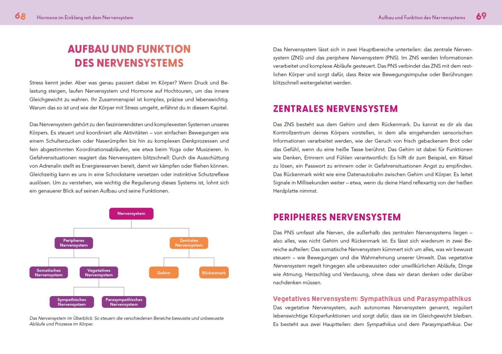 Beispielinhalt (Bild) Neustart für die Hormone