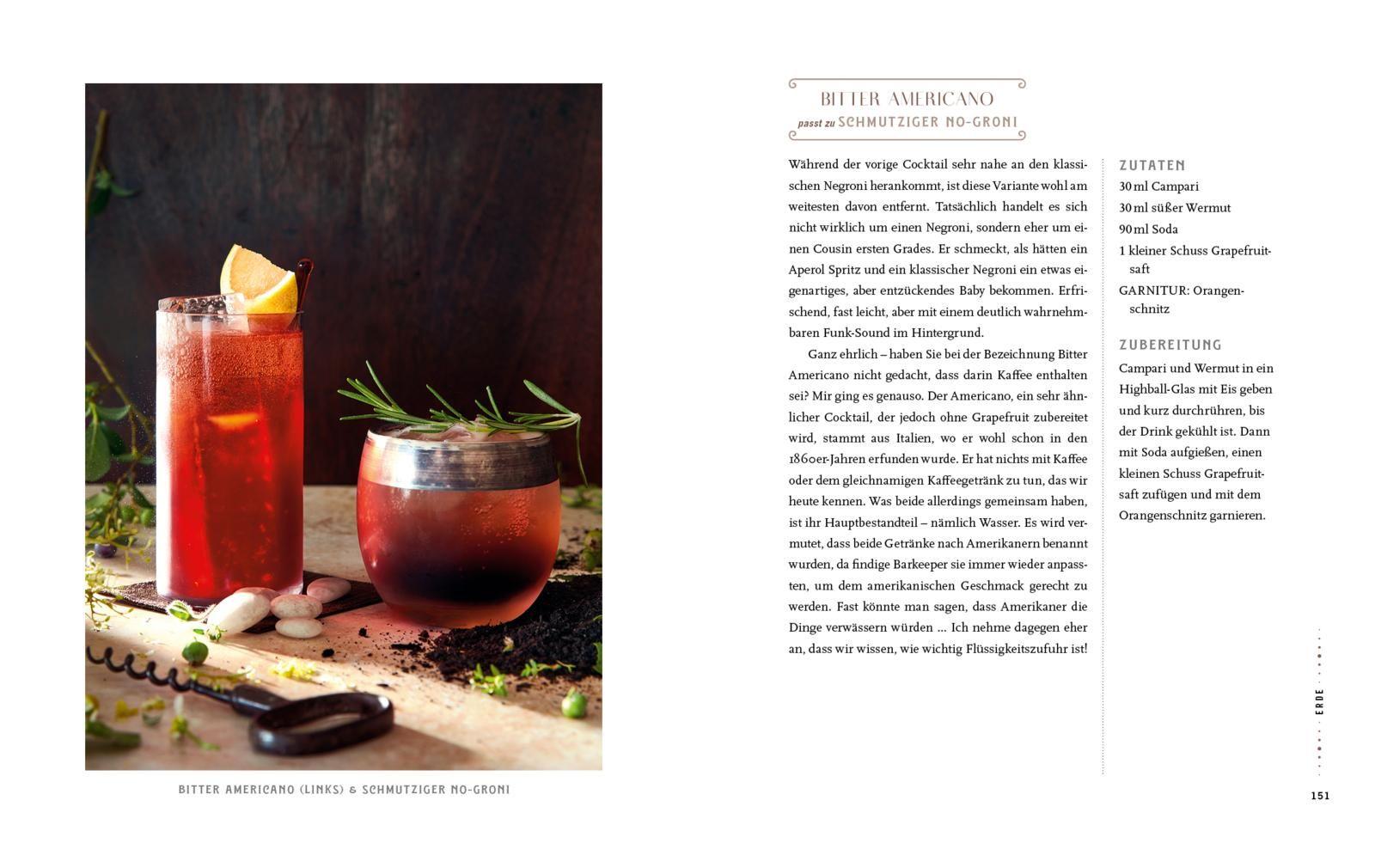 Beispielinhalt (Bild) Cocktails & Mocktails