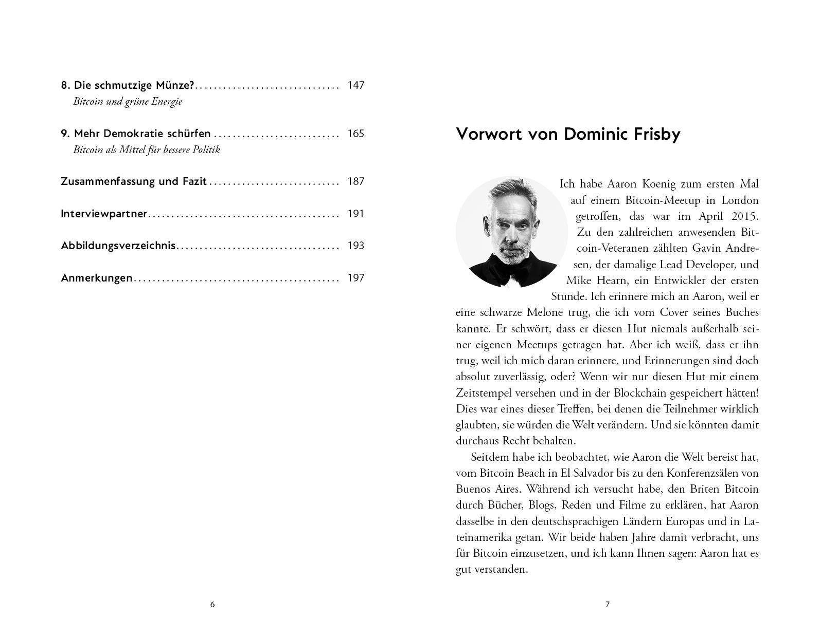 Beispielinhalt (Bild) Bitcoin macht Politik