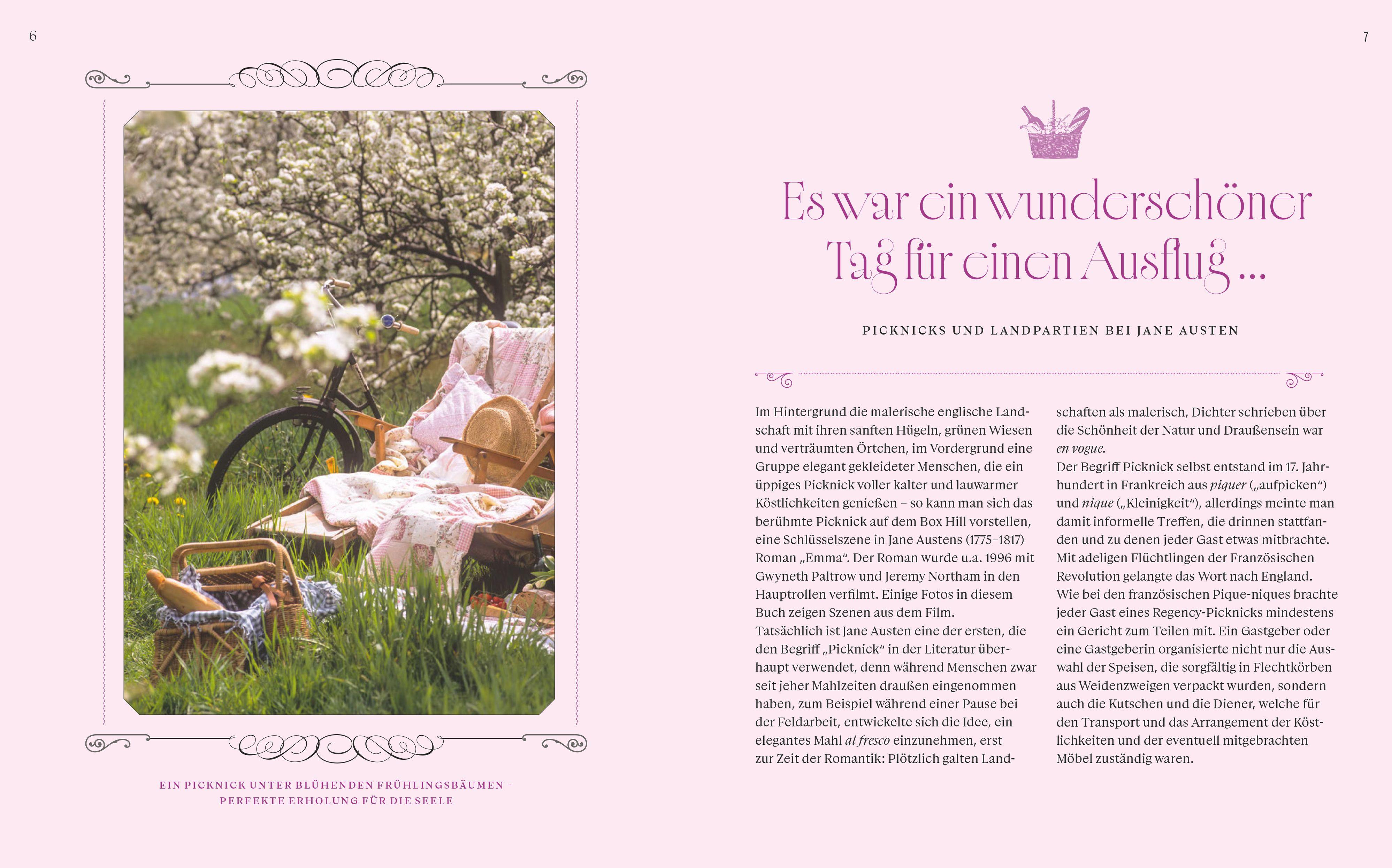 Beispielinhalt (Bild) Picknick mit Jane Austen