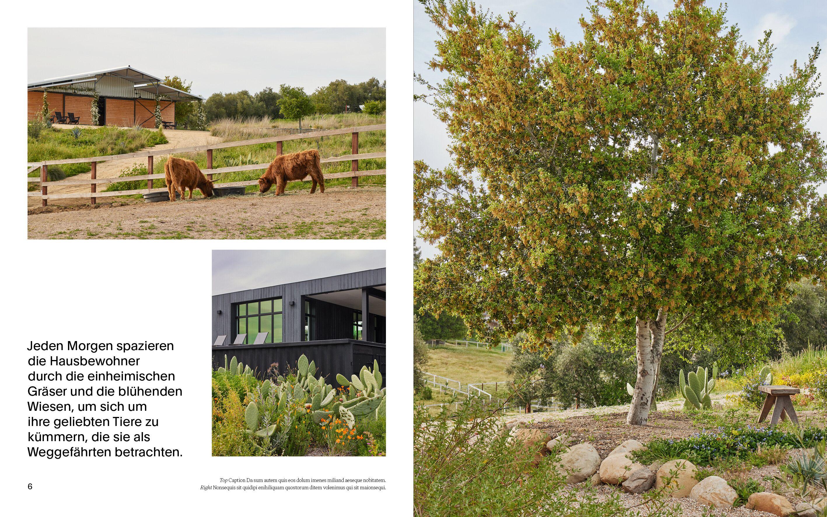 Beispielinhalt (Bild) Cottagecore Gärten