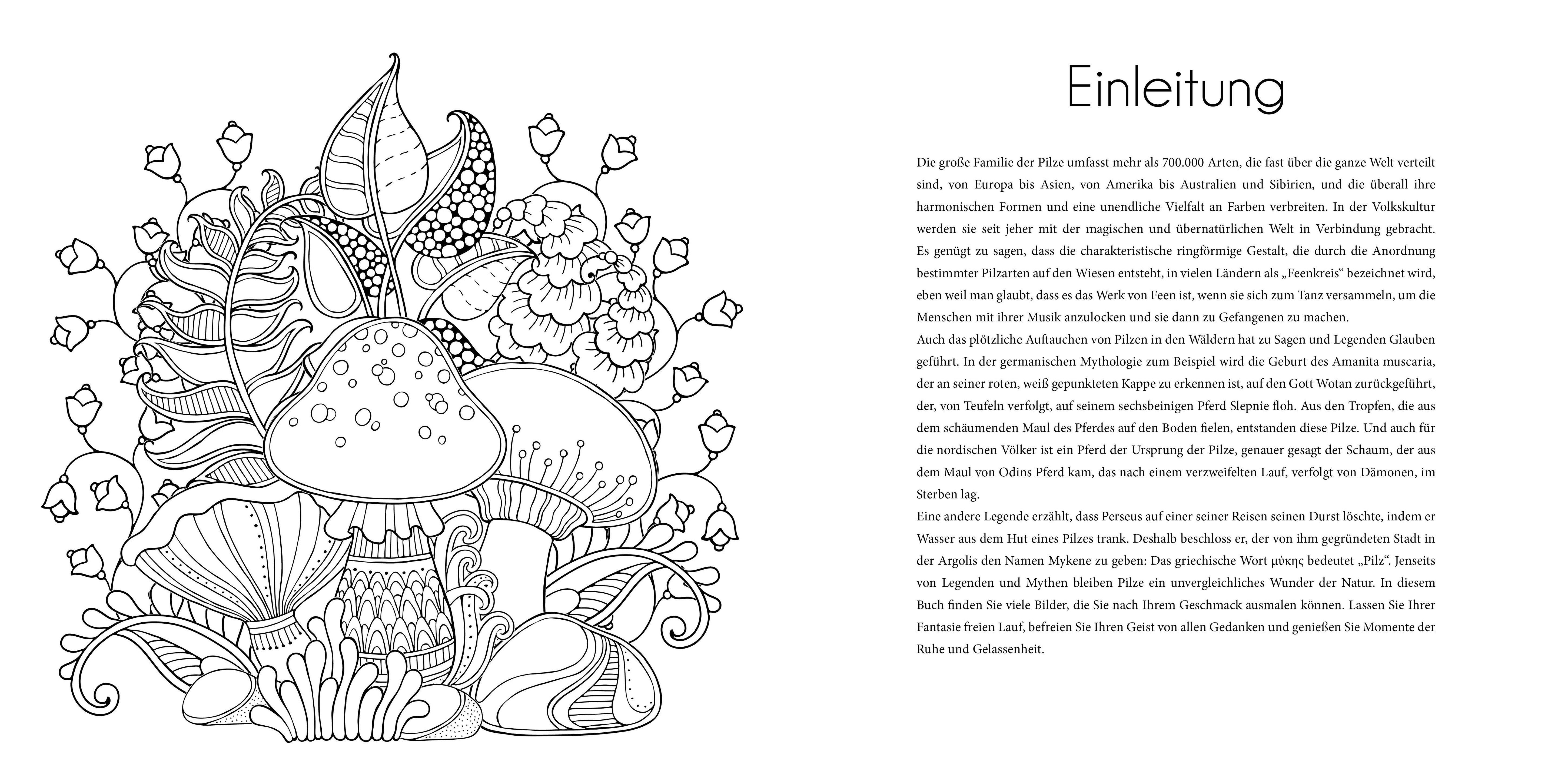 Beispielinhalt (Bild) Faszinierende Pilze