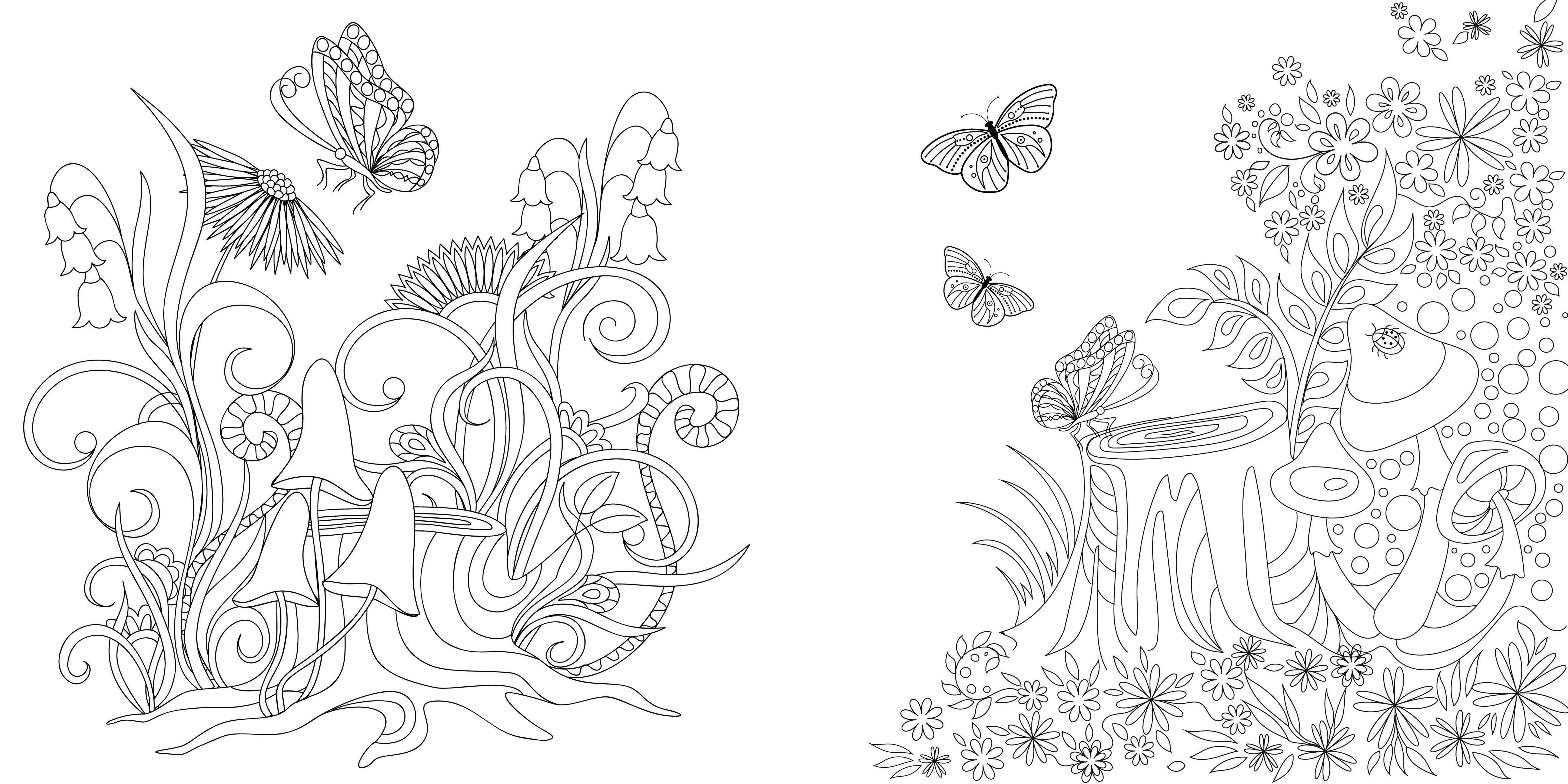 Beispielinhalt (Bild) Faszinierende Pilze