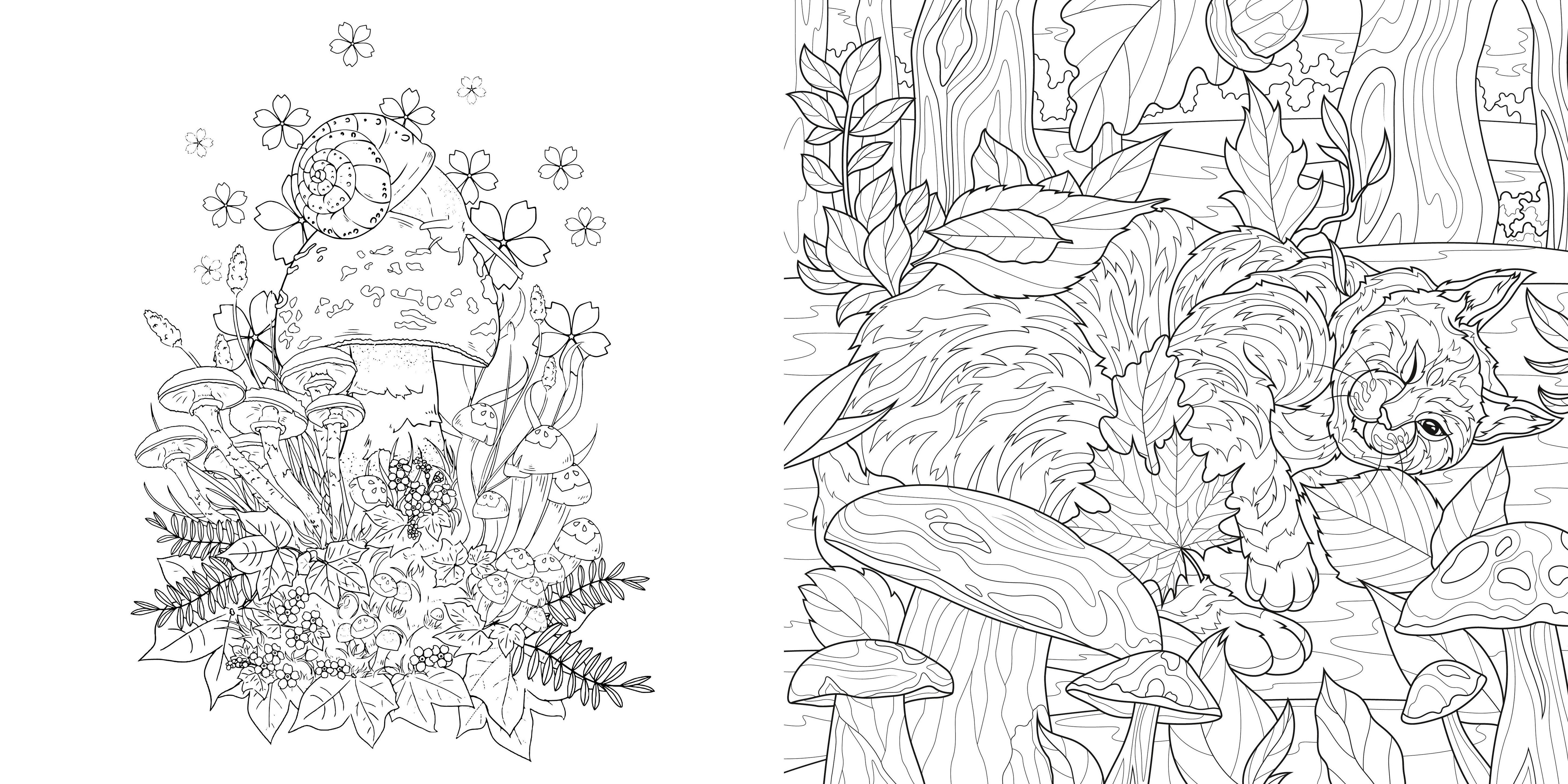 Beispielinhalt (Bild) Faszinierende Pilze