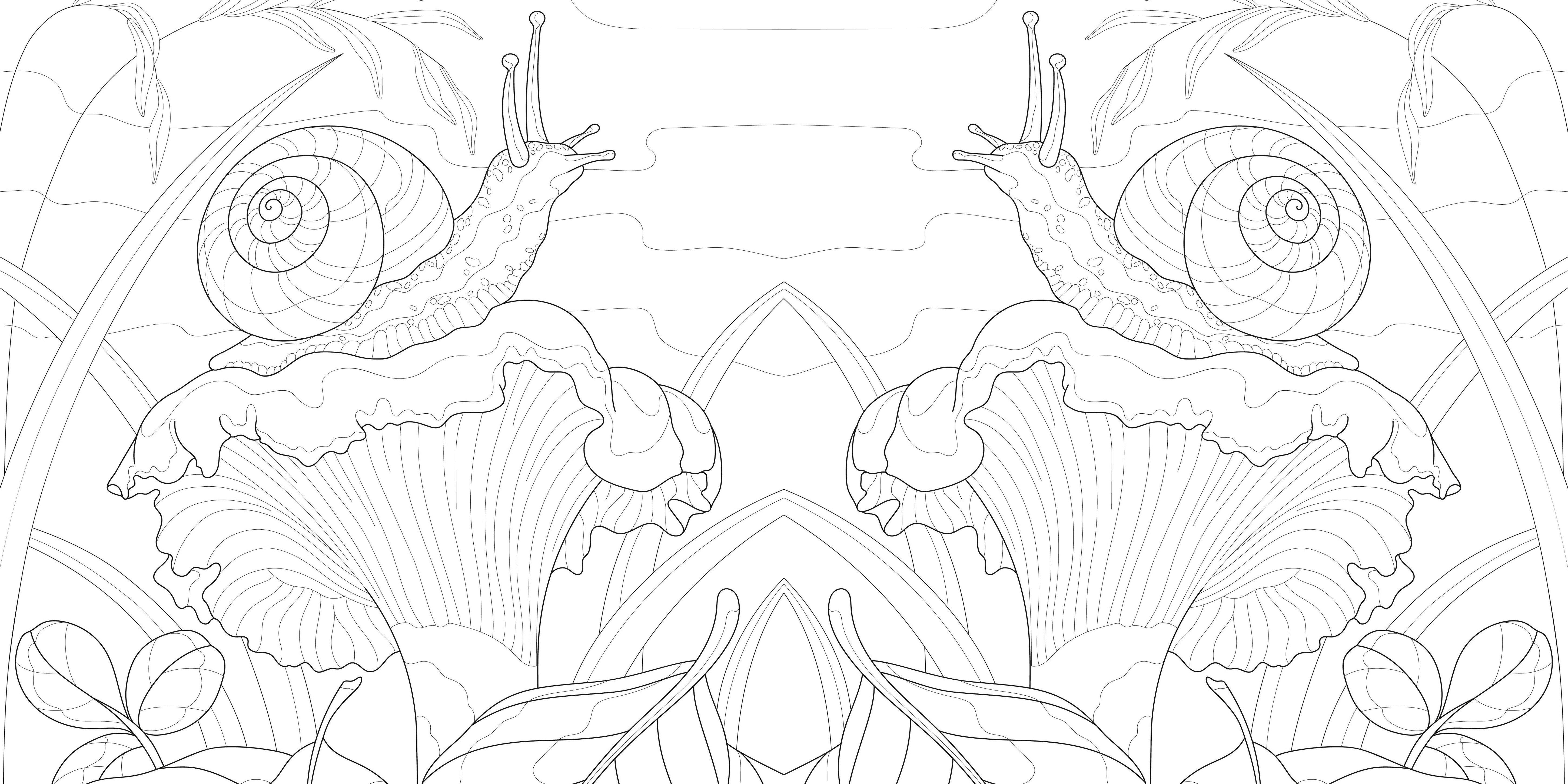 Beispielinhalt (Bild) Faszinierende Pilze