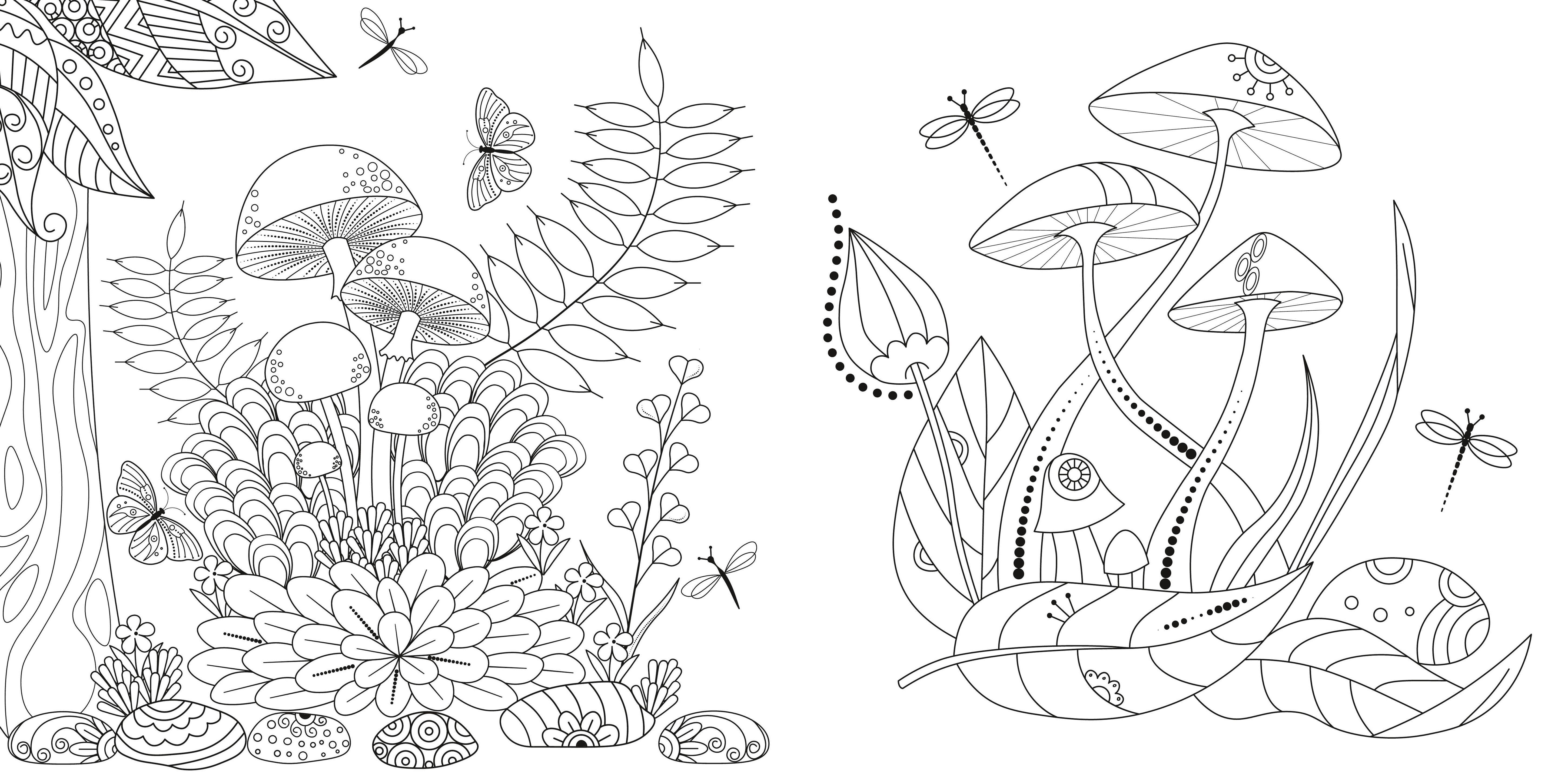 Beispielinhalt (Bild) Faszinierende Pilze