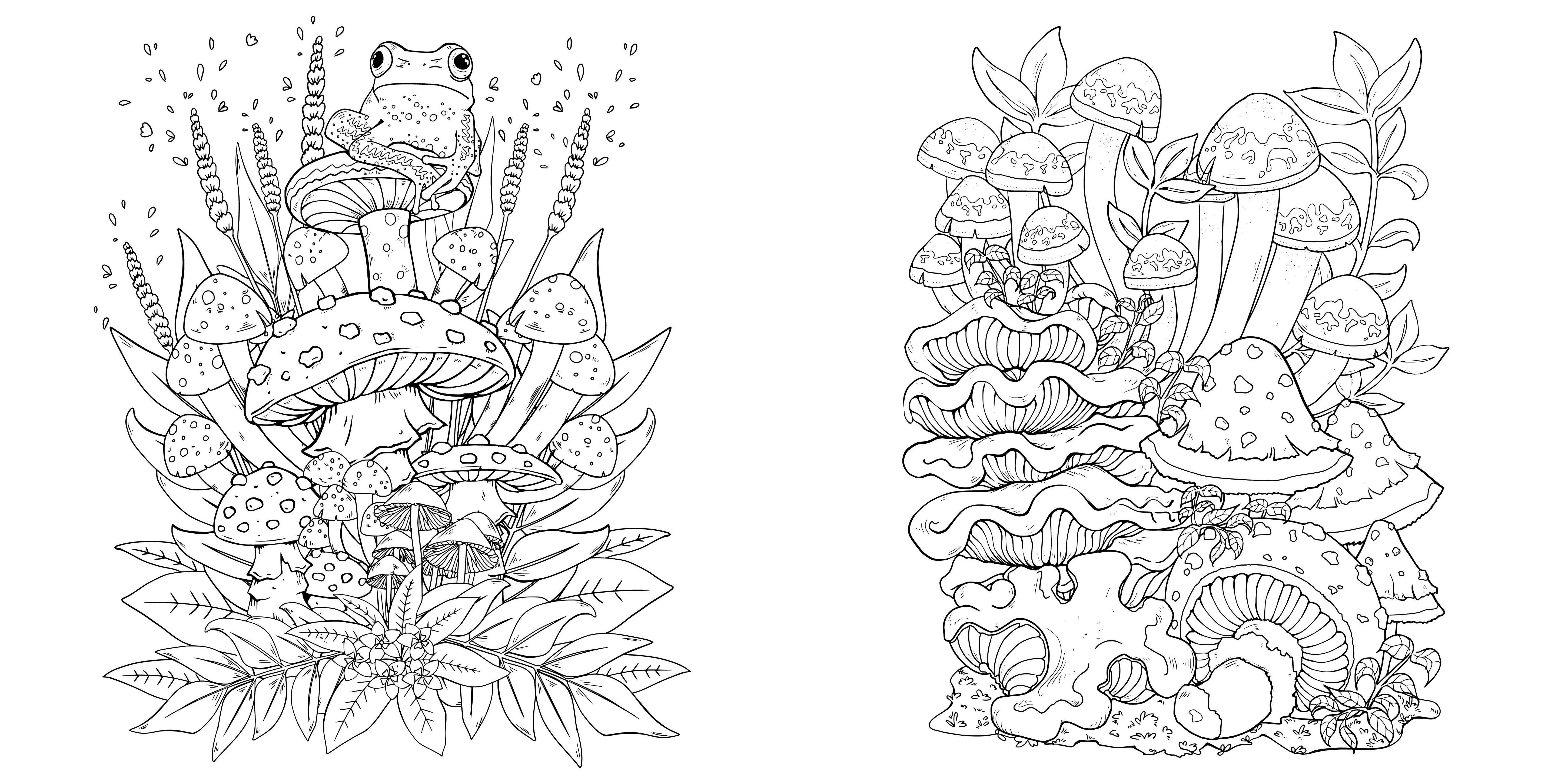 Beispielinhalt (Bild) Faszinierende Pilze