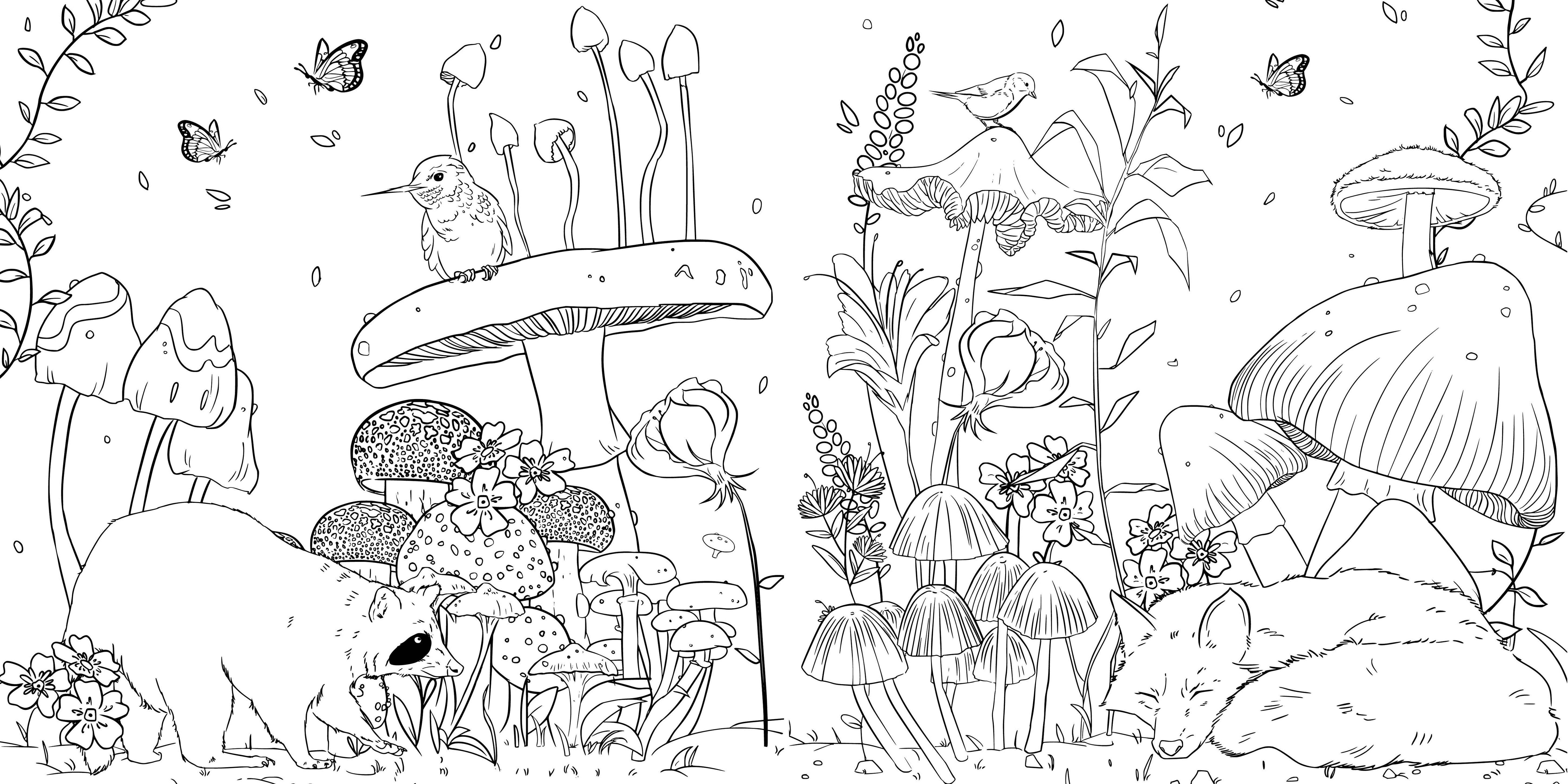 Beispielinhalt (Bild) Faszinierende Pilze