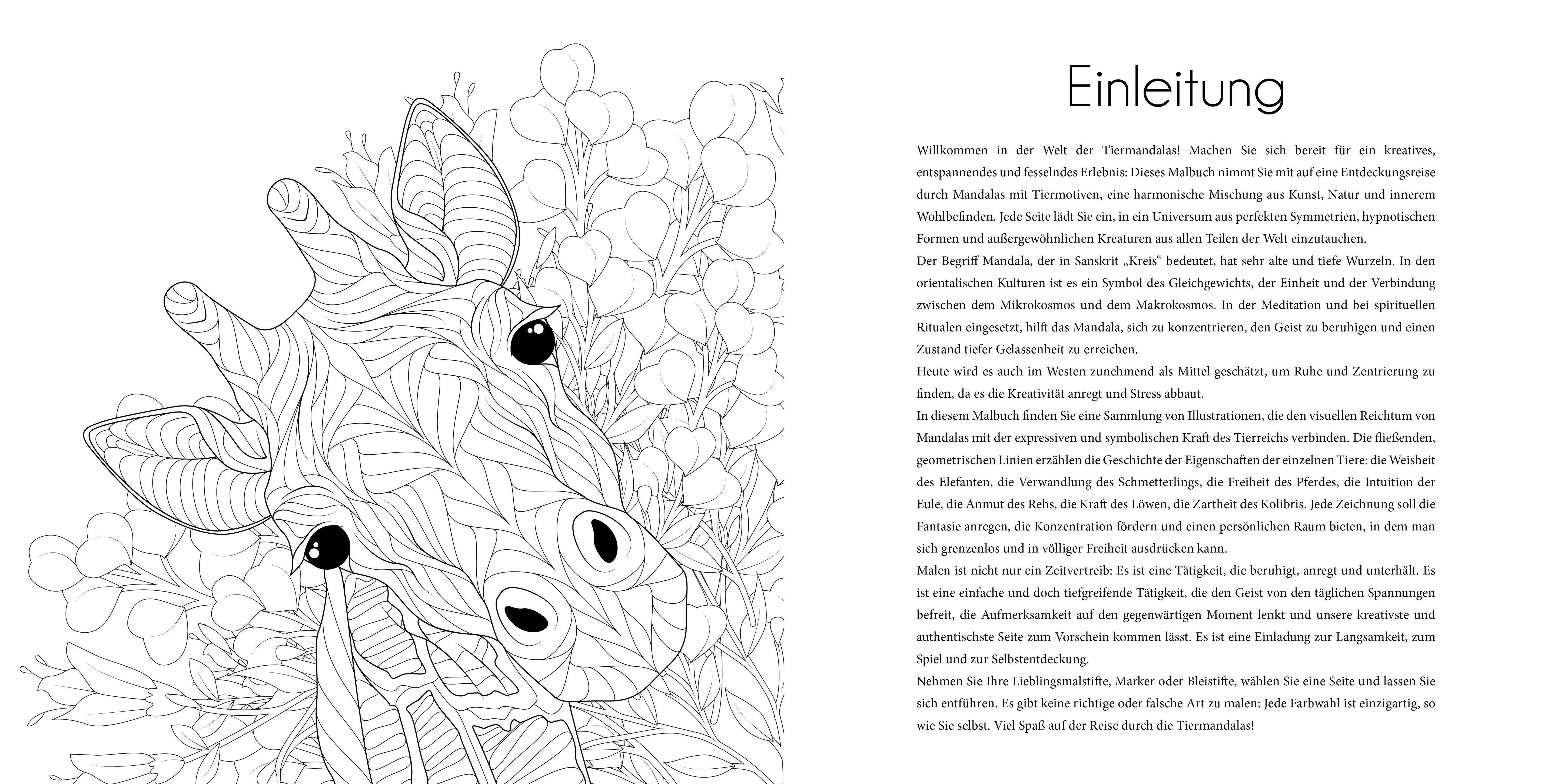 Beispielinhalt (Bild) Tier-Mandalas