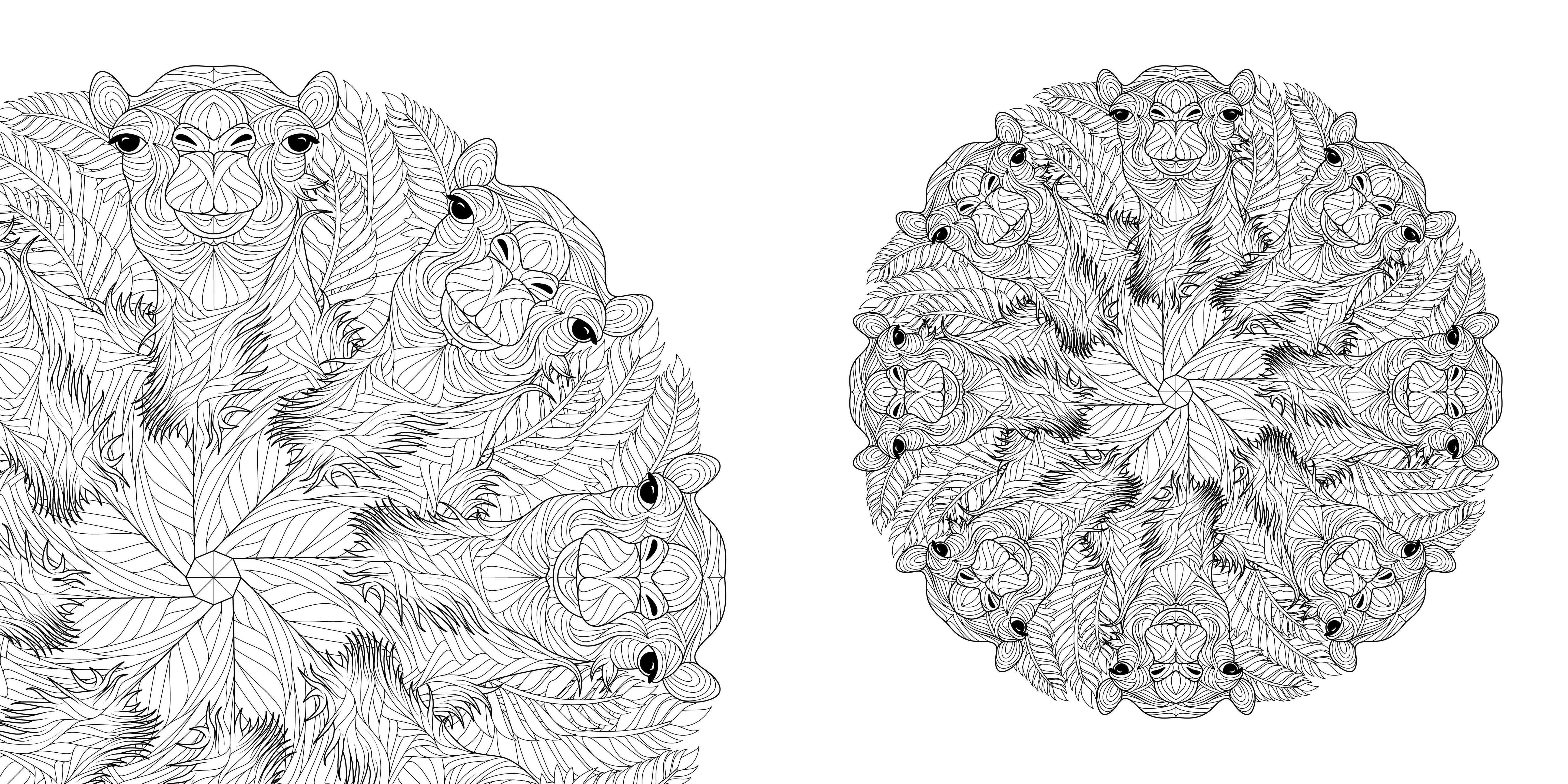 Beispielinhalt (Bild) Tier-Mandalas