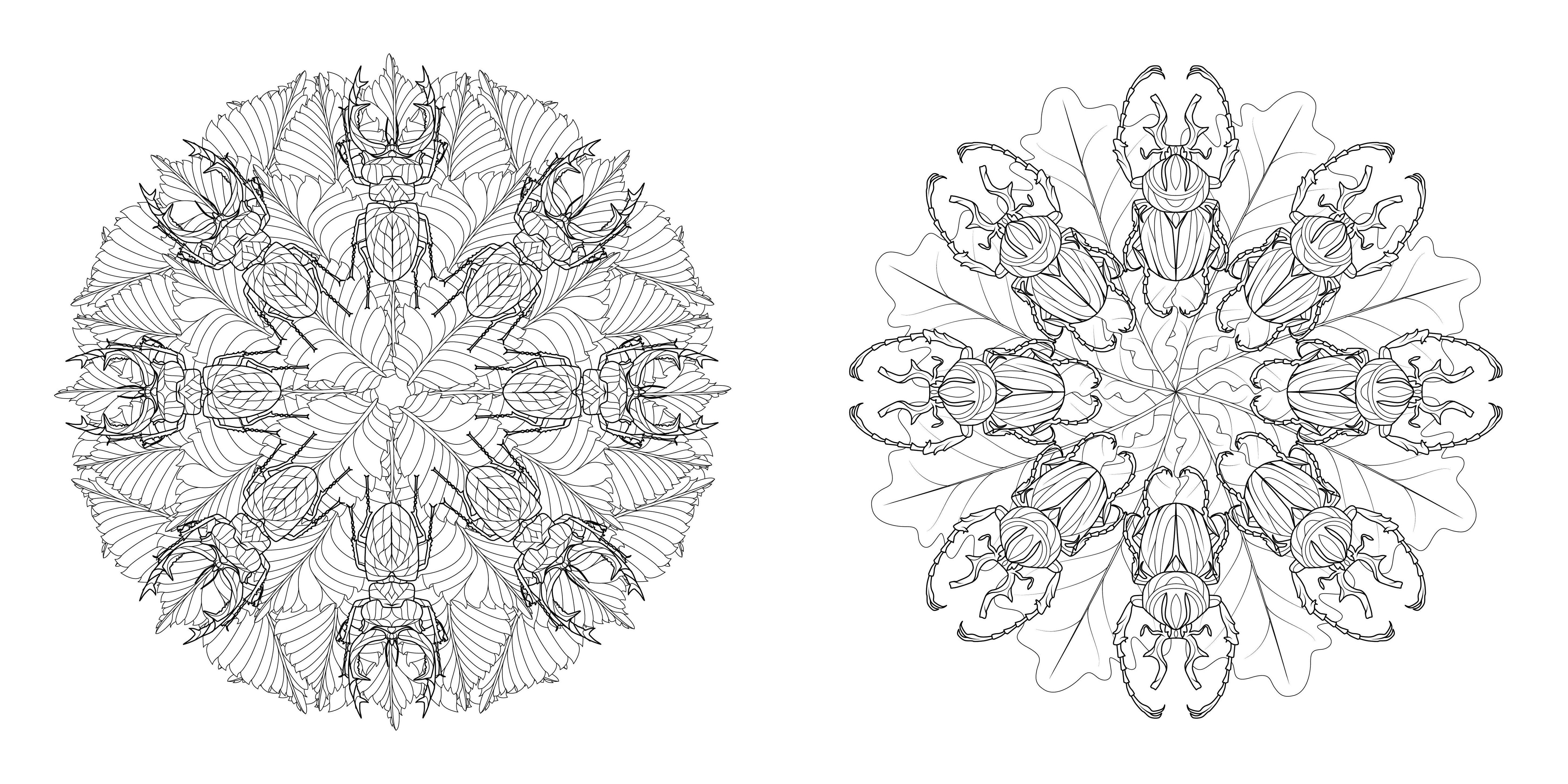 Beispielinhalt (Bild) Tier-Mandalas